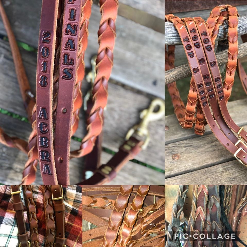SCB Signature Reins