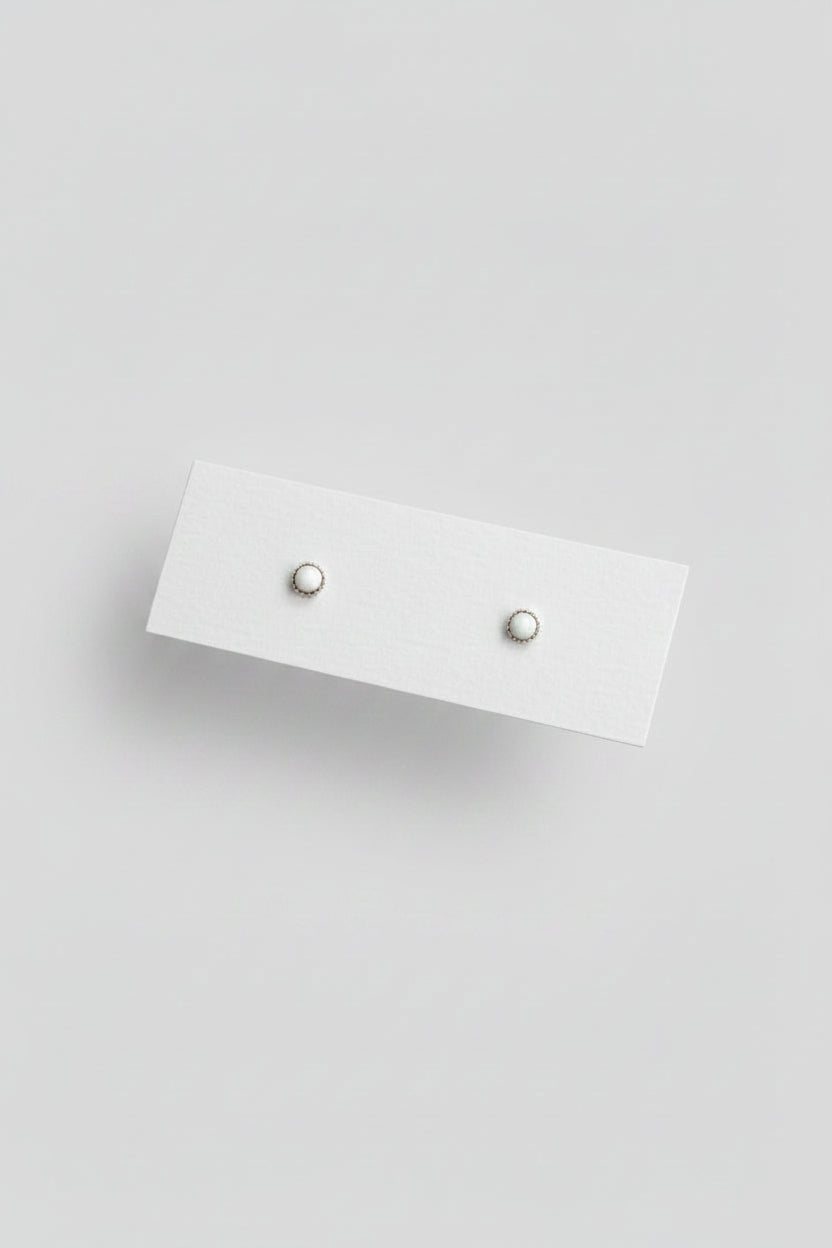 Bainville White Buffalo Studs