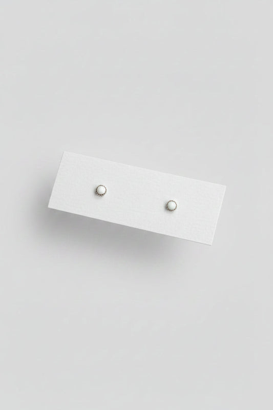 Bainville White Buffalo Studs