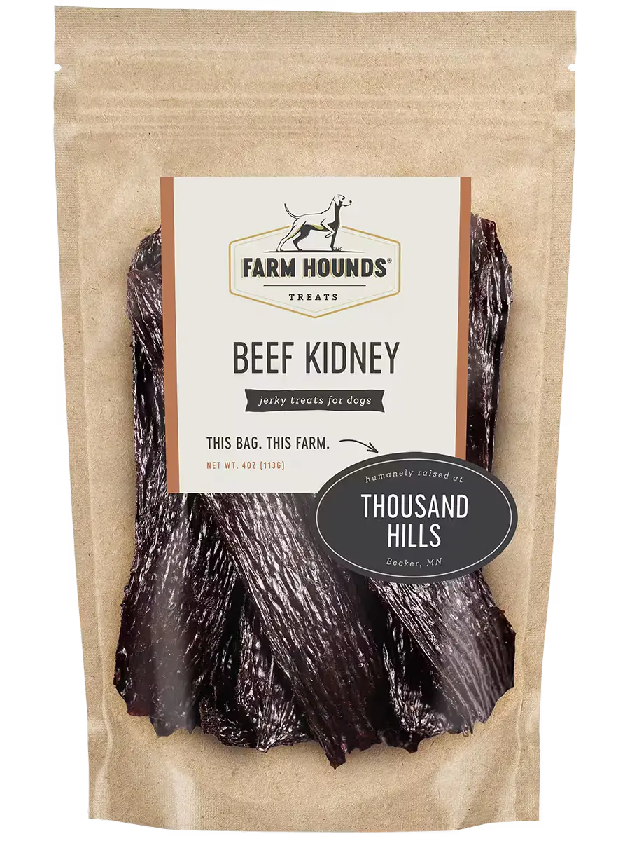 Beef Kidney