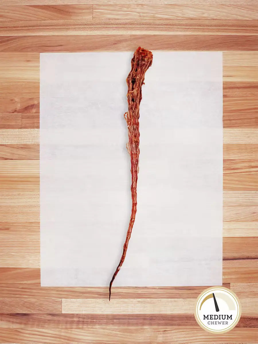 Beef Tail
