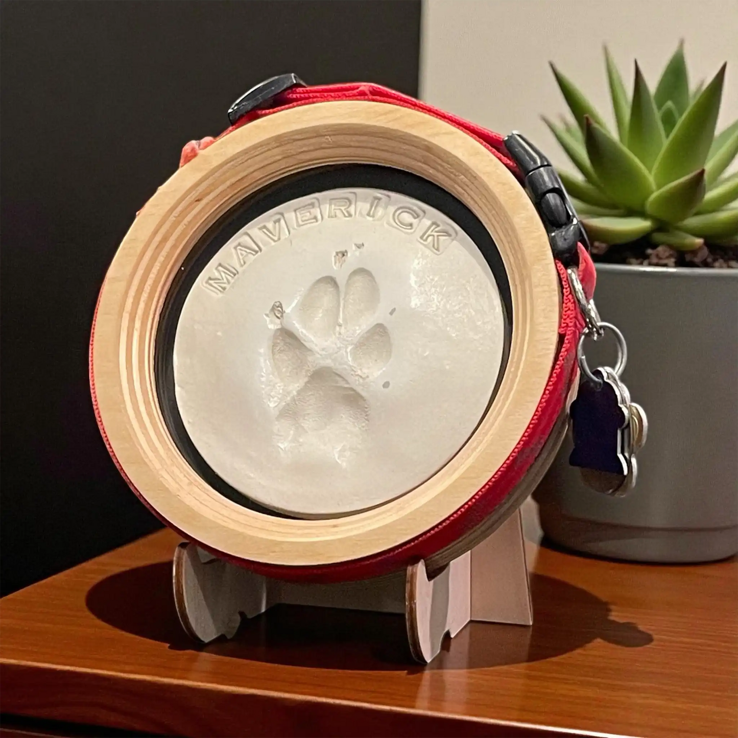 Paw Print & Collar Memorial Frame