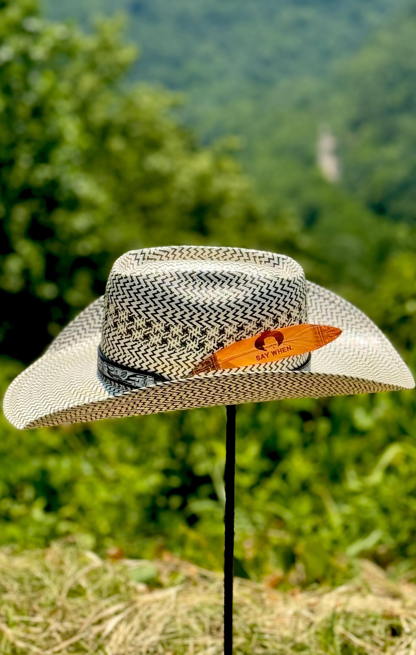 Say When Western Hat Feather