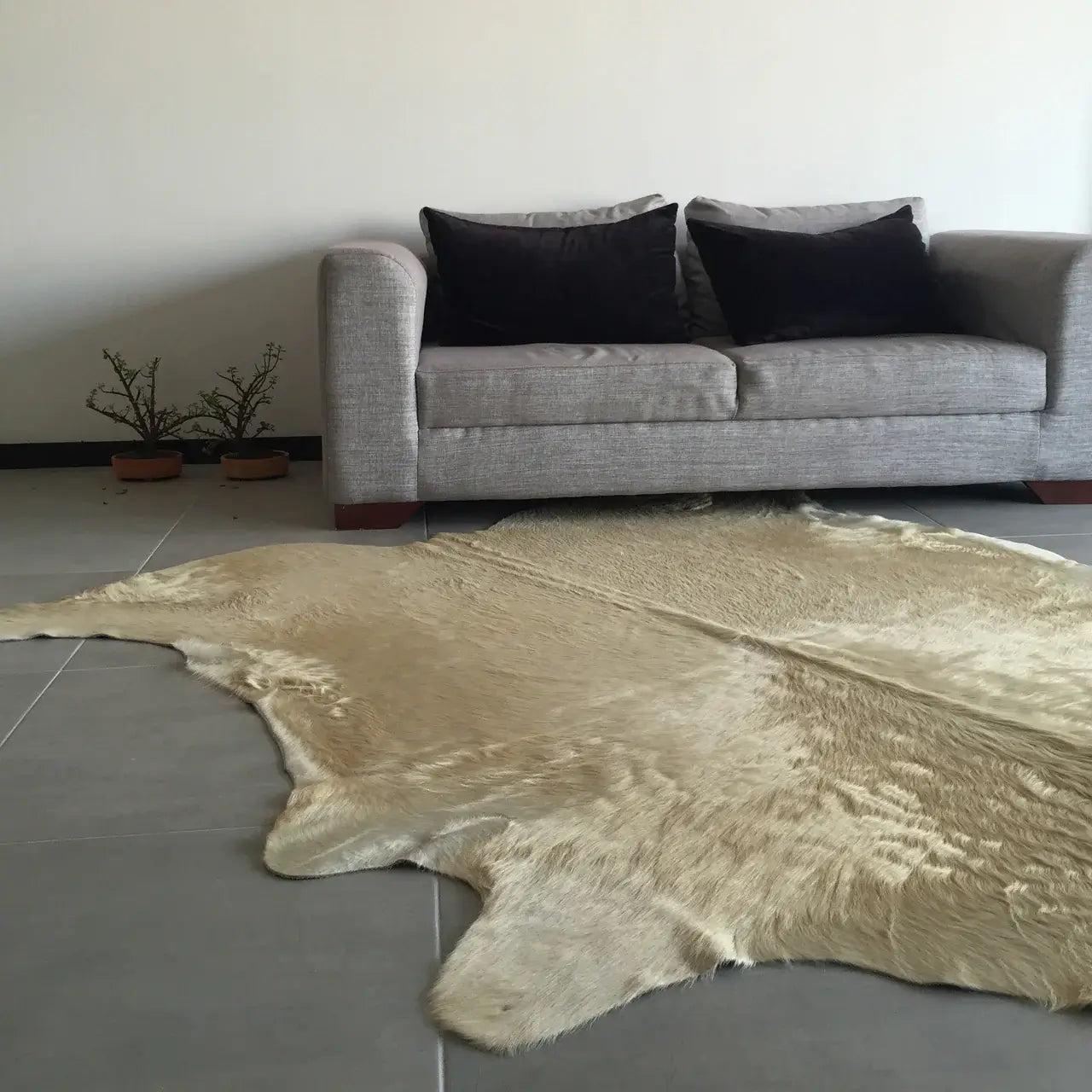 Champagne Brazilian Cowhide Rug: XXL