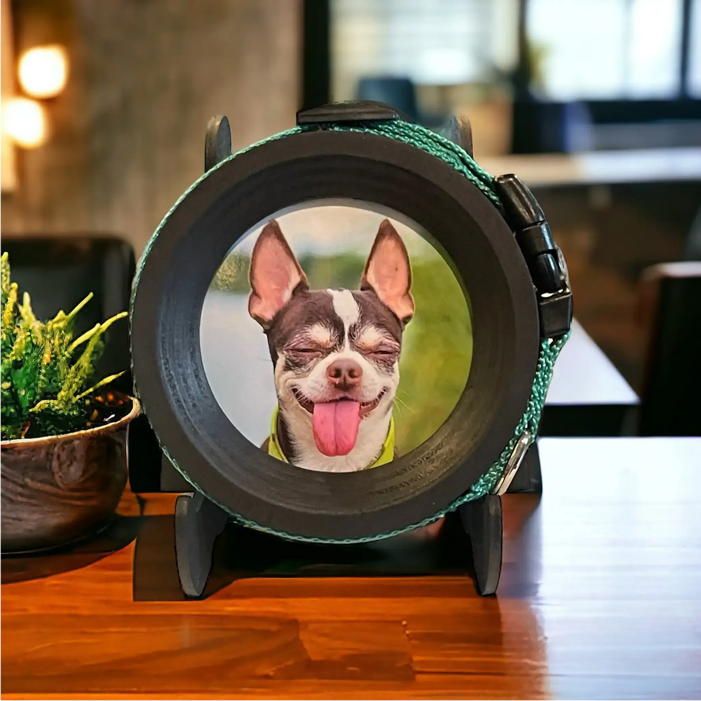 Small Dog Collar Frame and Stand Bundle | "The Chihuahua"
