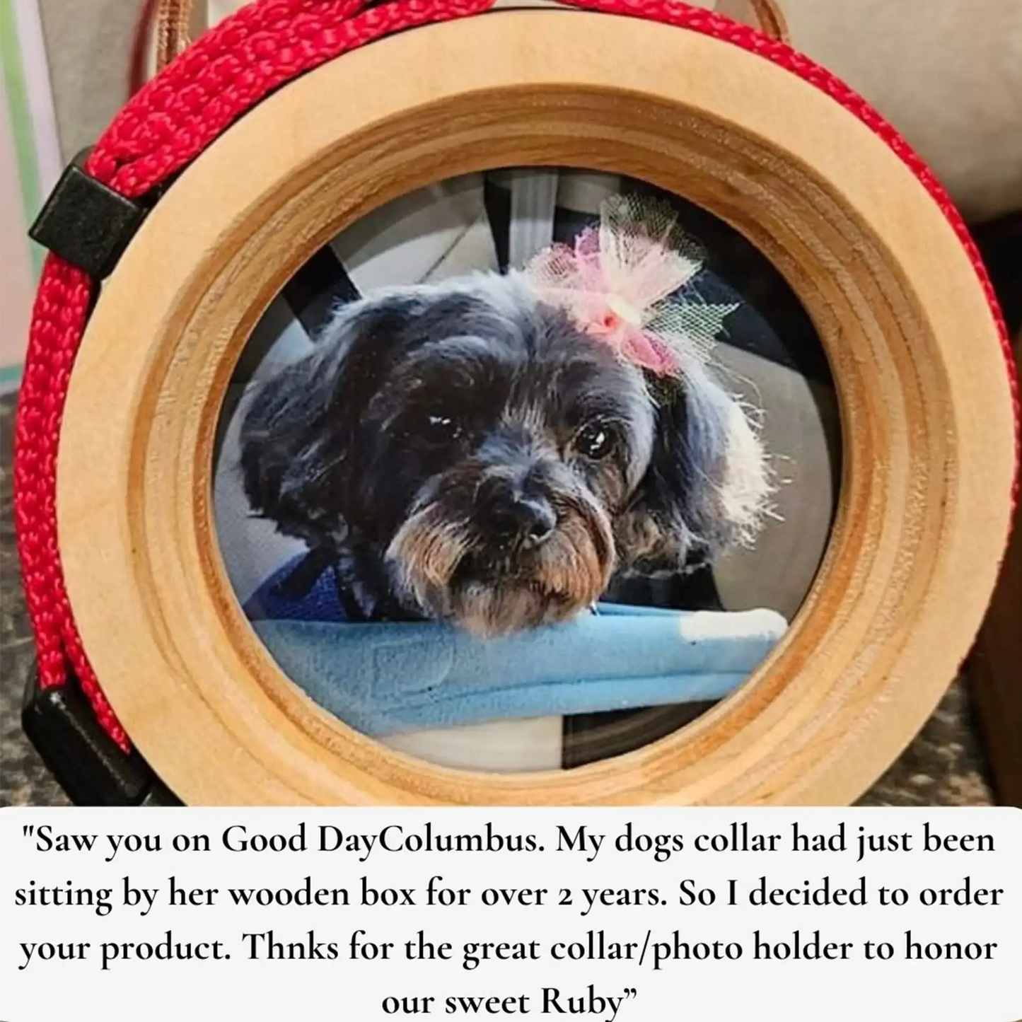 Small Dog Collar Frame and Stand Bundle | "The Chihuahua"