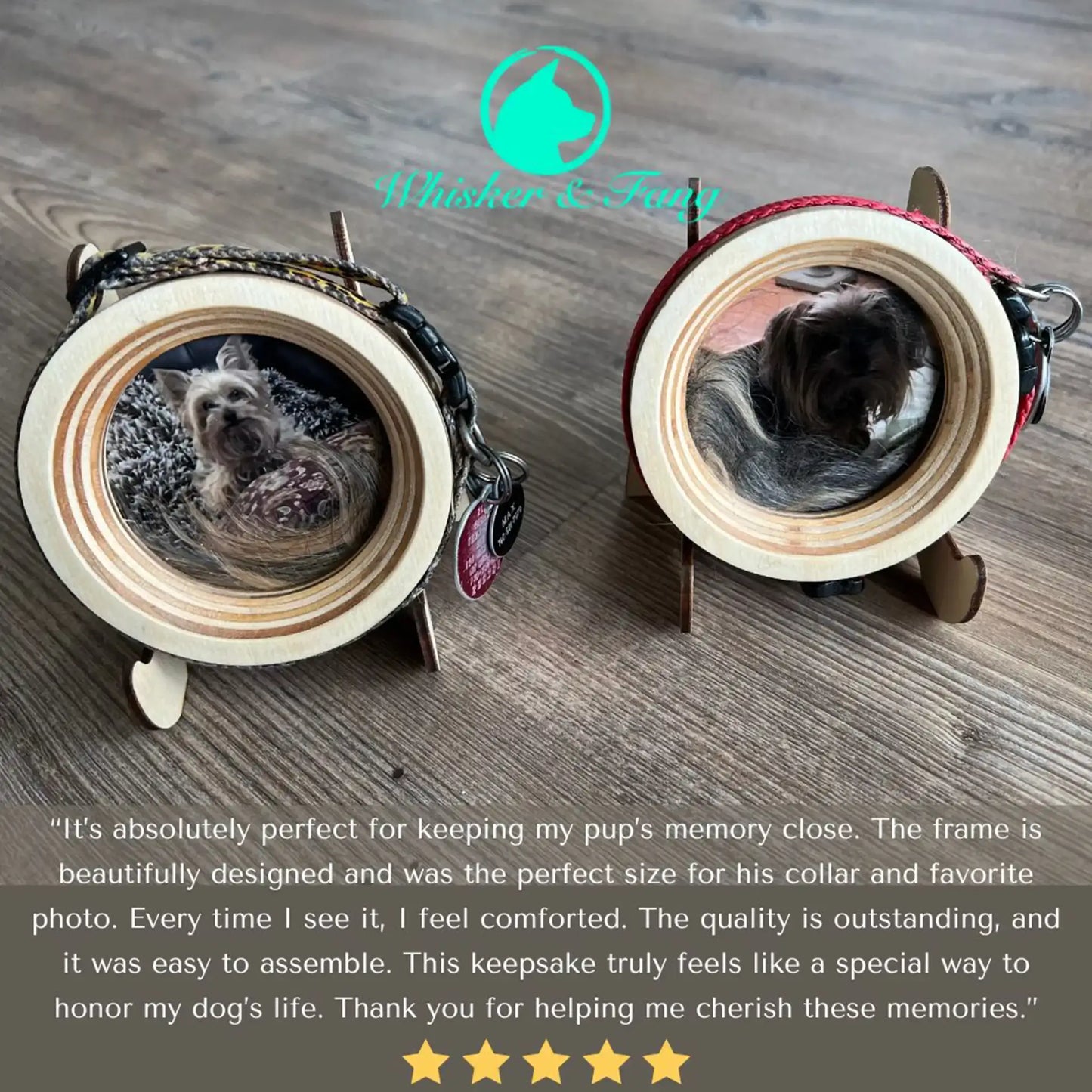 Small Dog Collar Frame and Stand Bundle | "The Chihuahua"