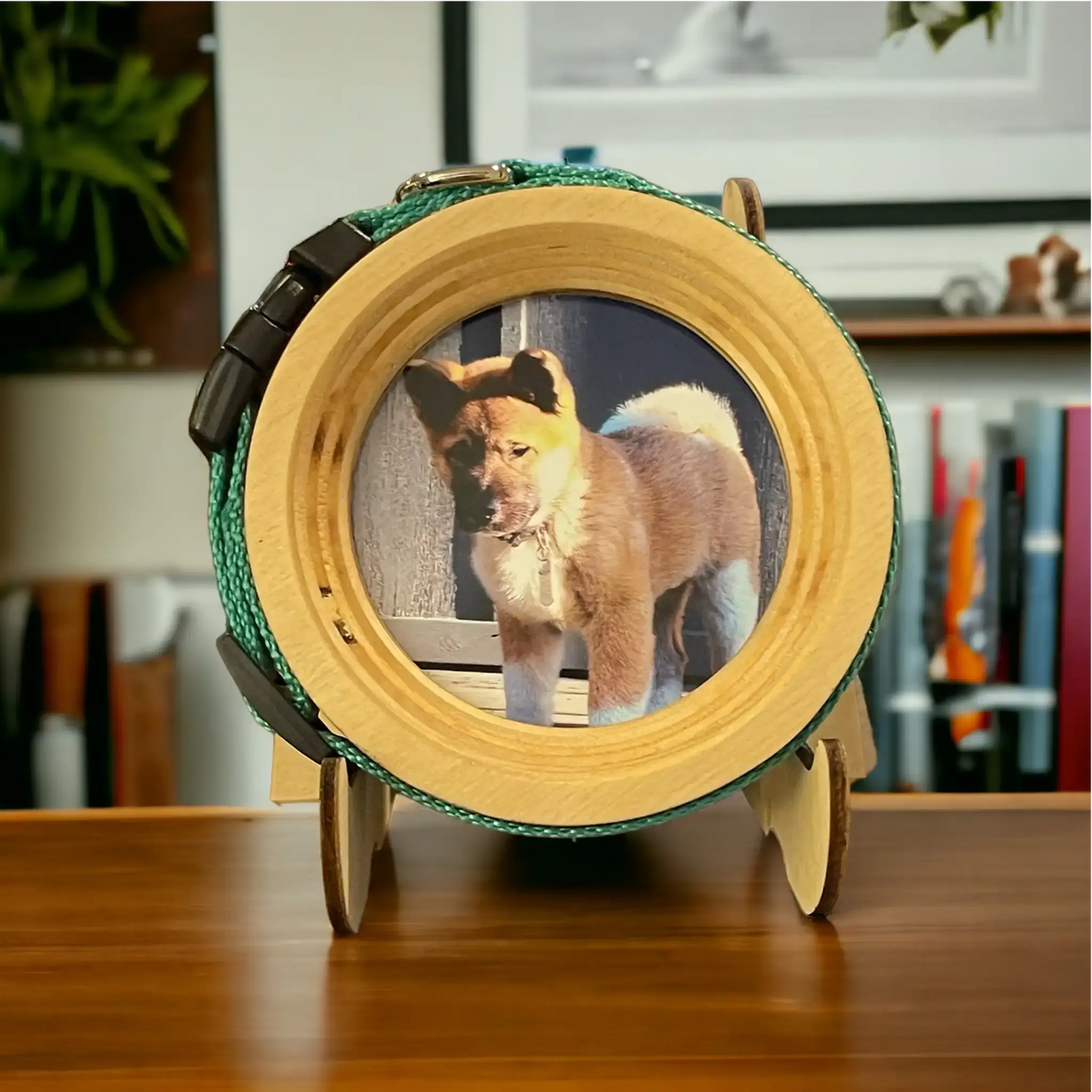 Small Dog Collar Frame and Stand Bundle | "The Chihuahua"
