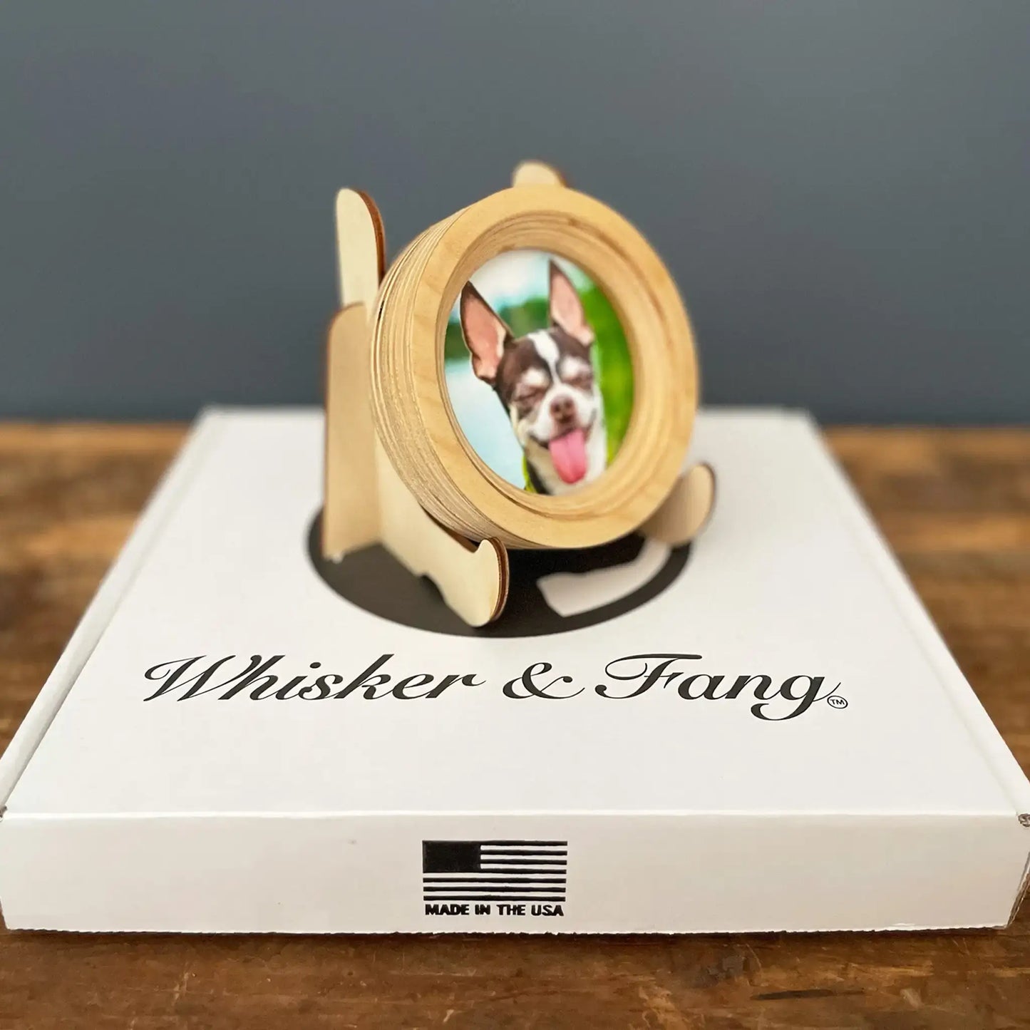 Small Dog Collar Frame and Stand Bundle | "The Chihuahua"
