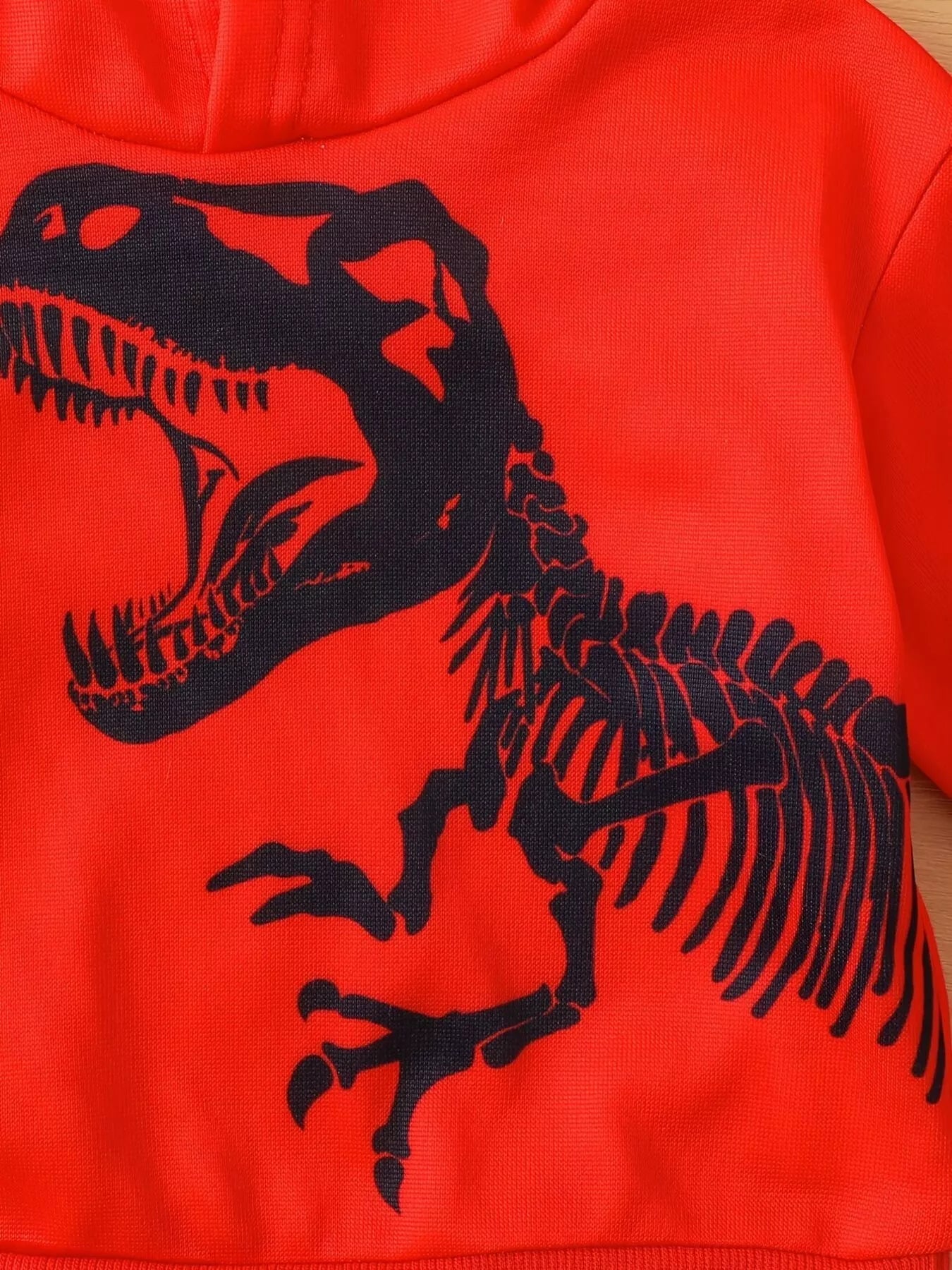 Children's Dinosaur Long Sleeve Hoodie and Pants Set - 6M - 3Y