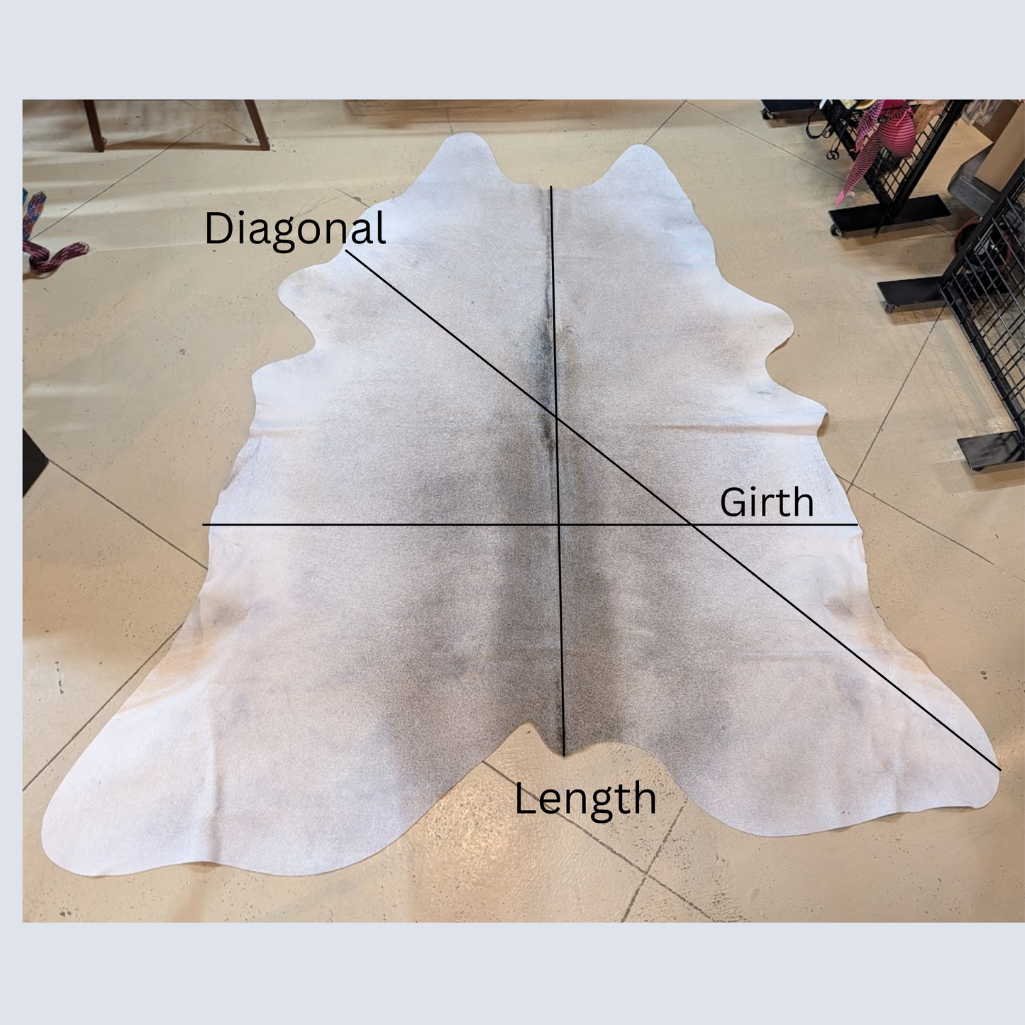 Cowhide "Jed"