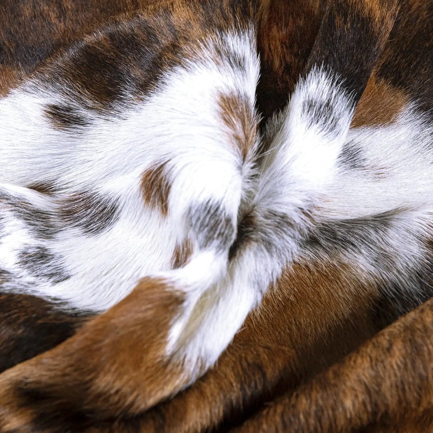 Tricolor Brazilian Cowhide Rug: XXL