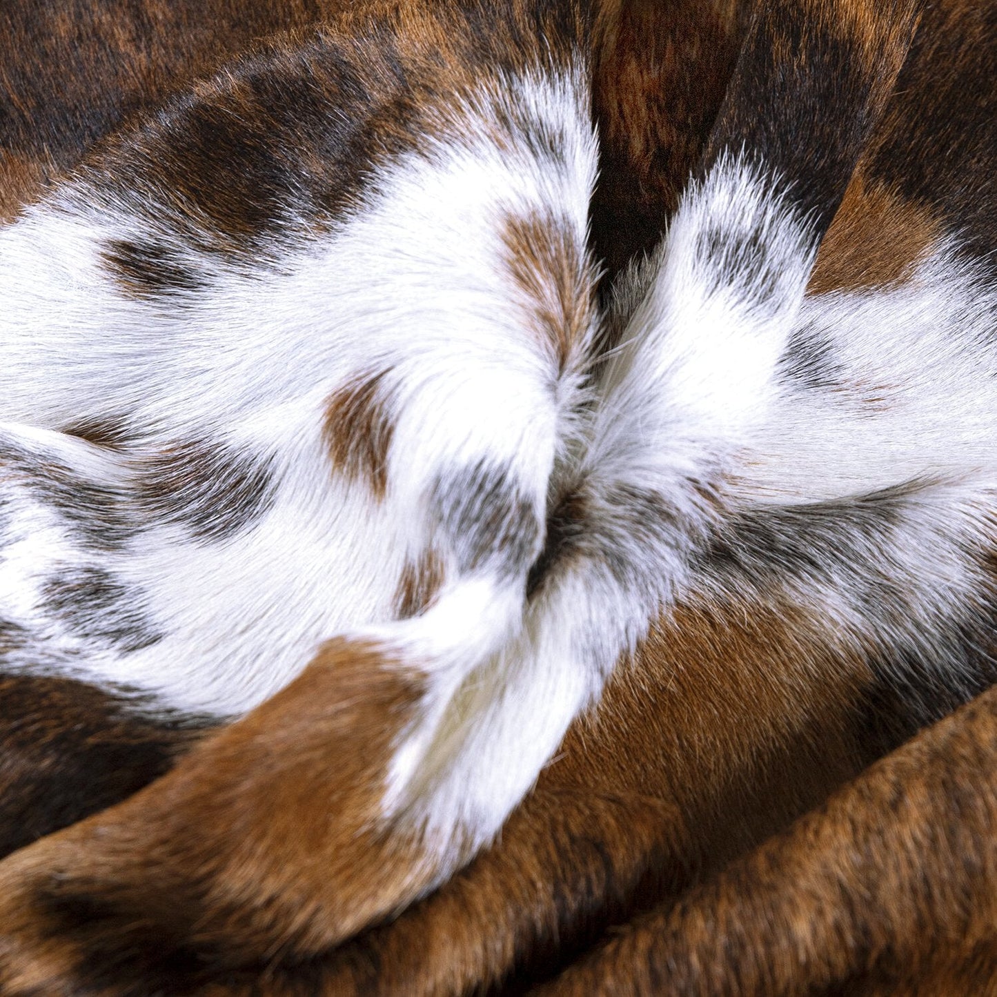 Tricolor Brazilian Cowhide Rug: XL