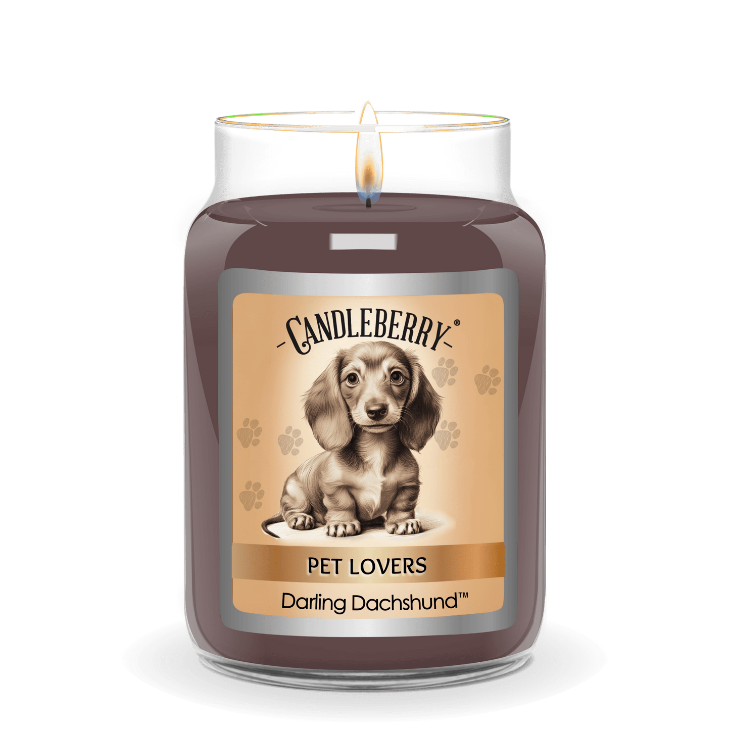 Darling Dachshund™ - Large Jar Candle (Collective)