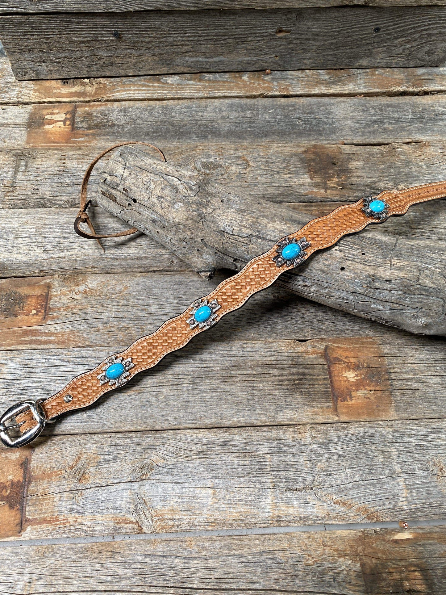 DC77 - Light Oil Southwest Dog Collar 12"-22" W204L