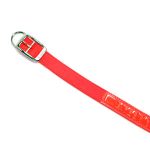 D-End Reflexite Hunting Collar 1" x 16"