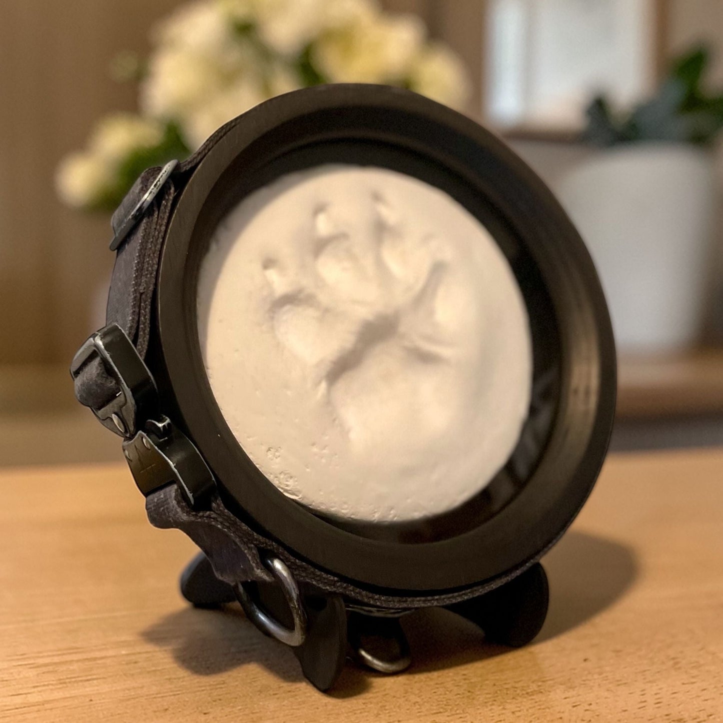 Paw Print & Collar Memorial Frame