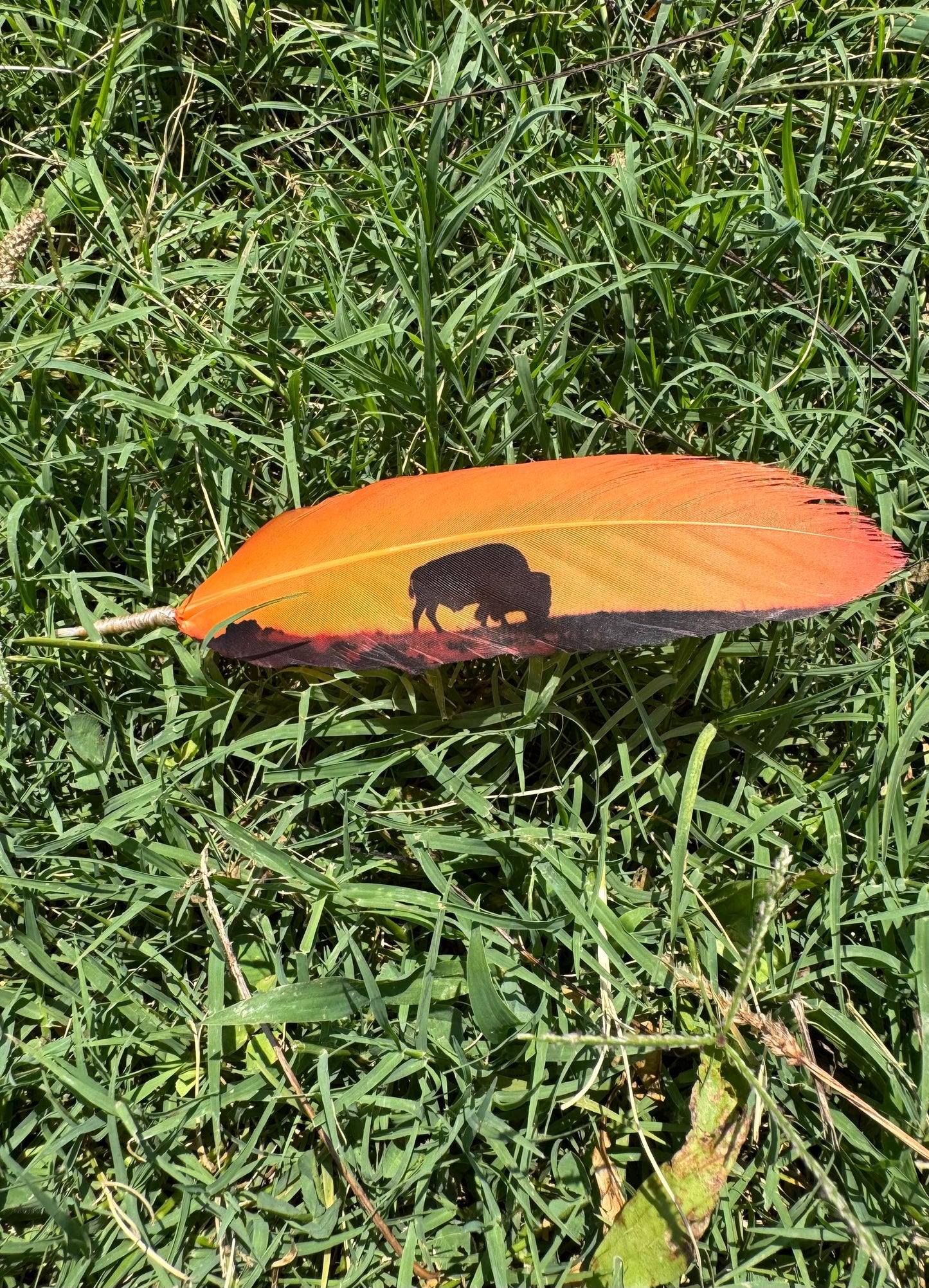 Buffalo Sunset Hat Feather