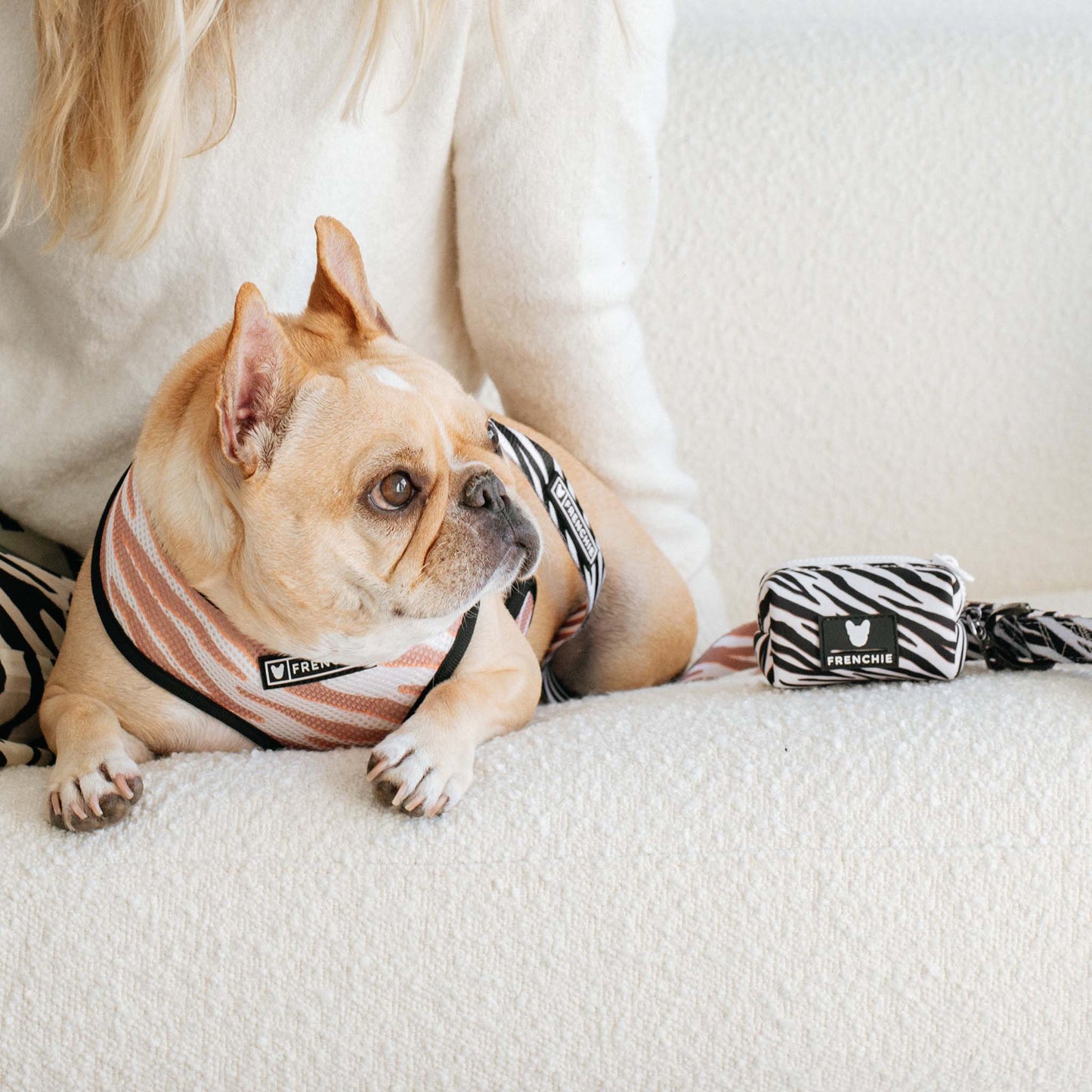 Frenchie Poo Bag Holder - Zebra