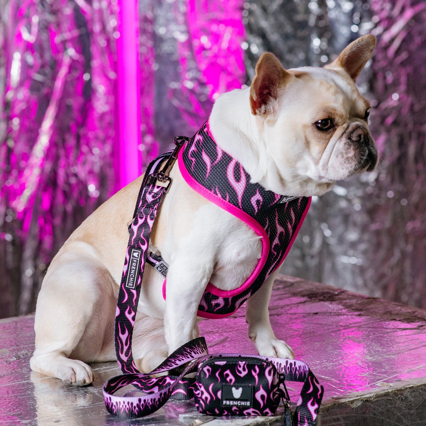 Frenchie Duo Reversible Harness - Flames (Pink)
