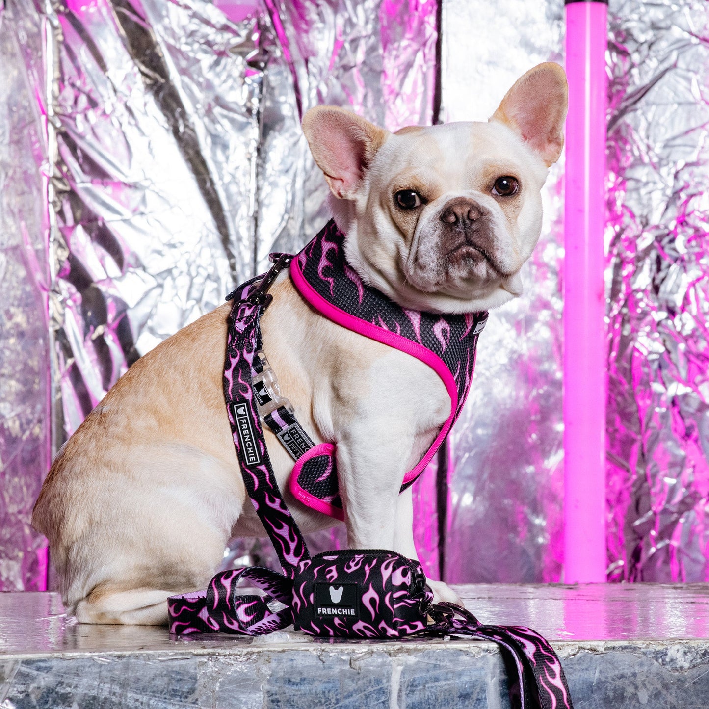 Frenchie Duo Reversible Harness - Flames (Pink)