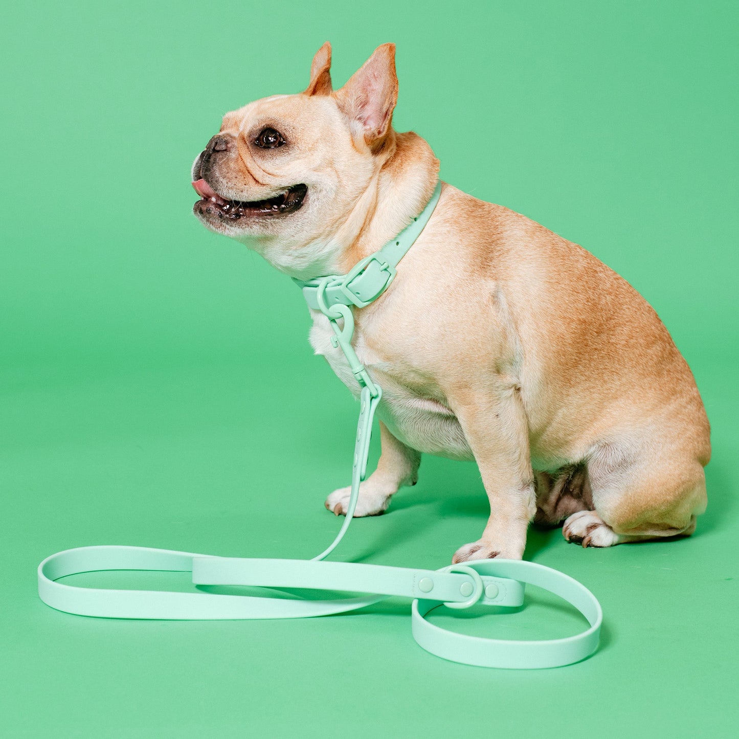 Frenchie Waterproof Leash - Mint Green