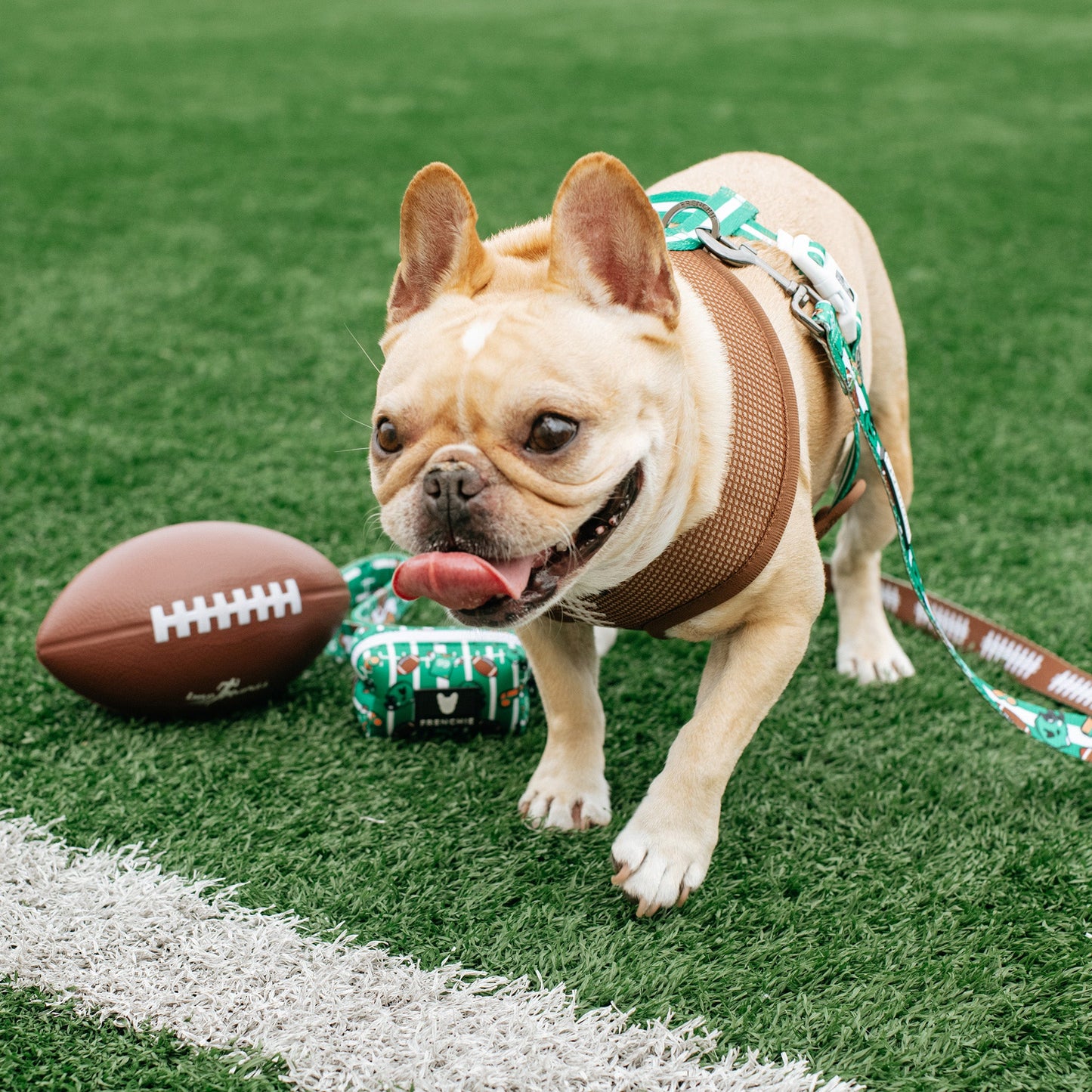 Frenchie Duo Reversible Harness - Touchdown