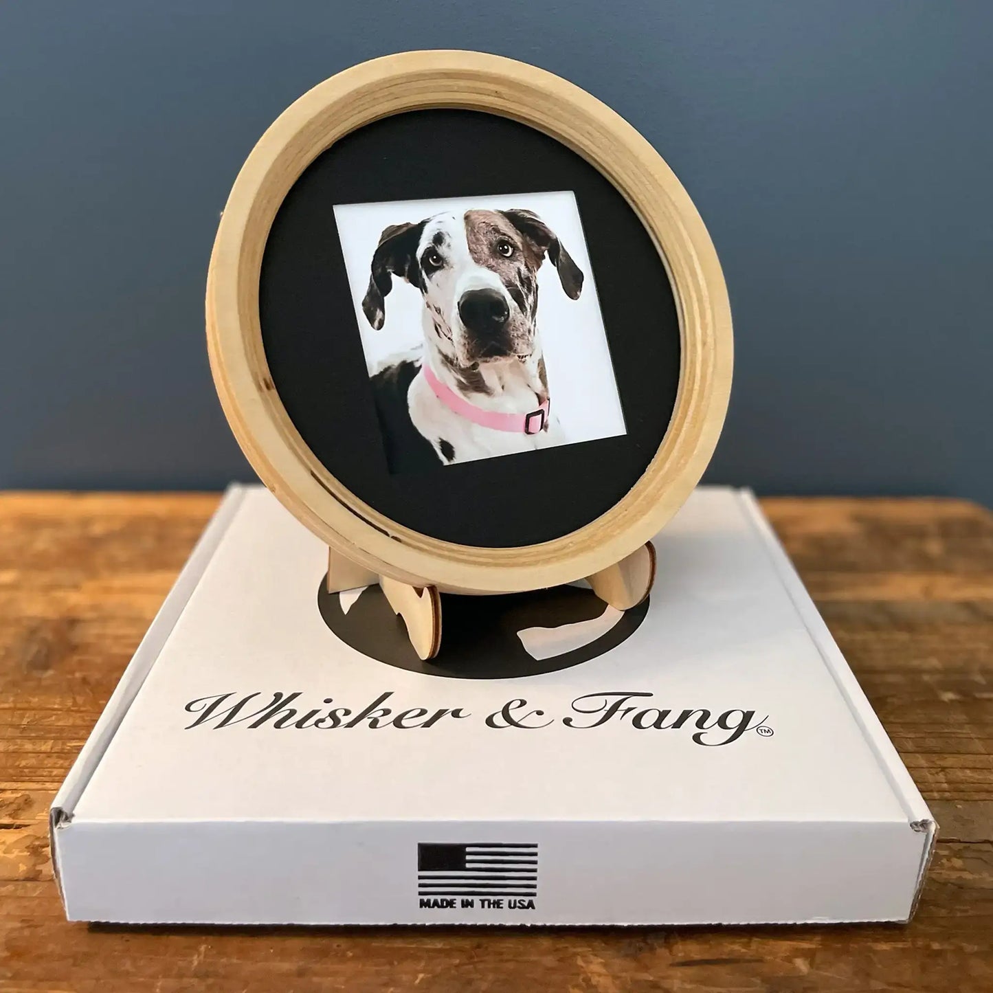 Large/Extra Large Dog Collar Frame and Stand Bundle | "The Great Dane"