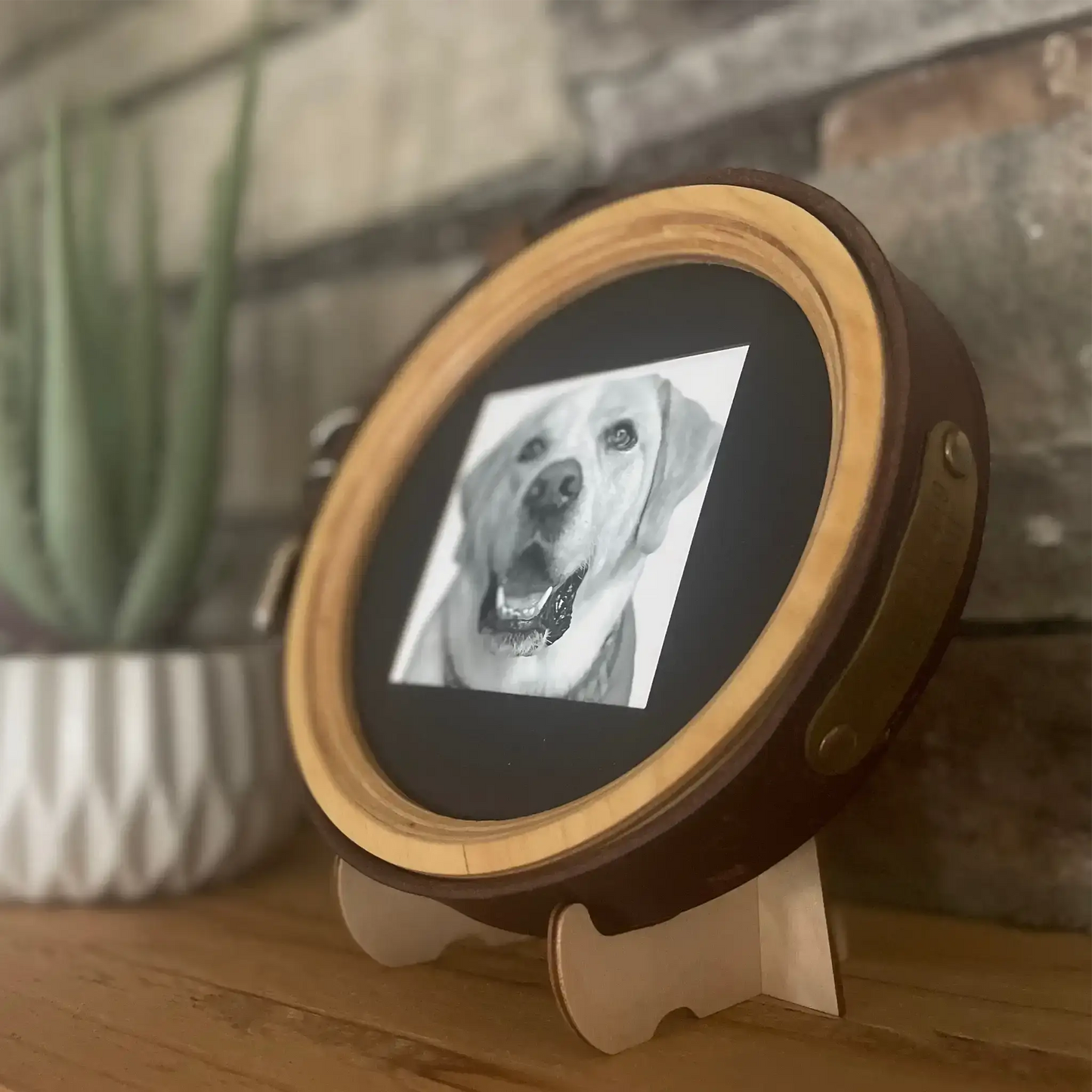 Large/Extra Large Dog Collar Frame and Stand Bundle | "The Great Dane"