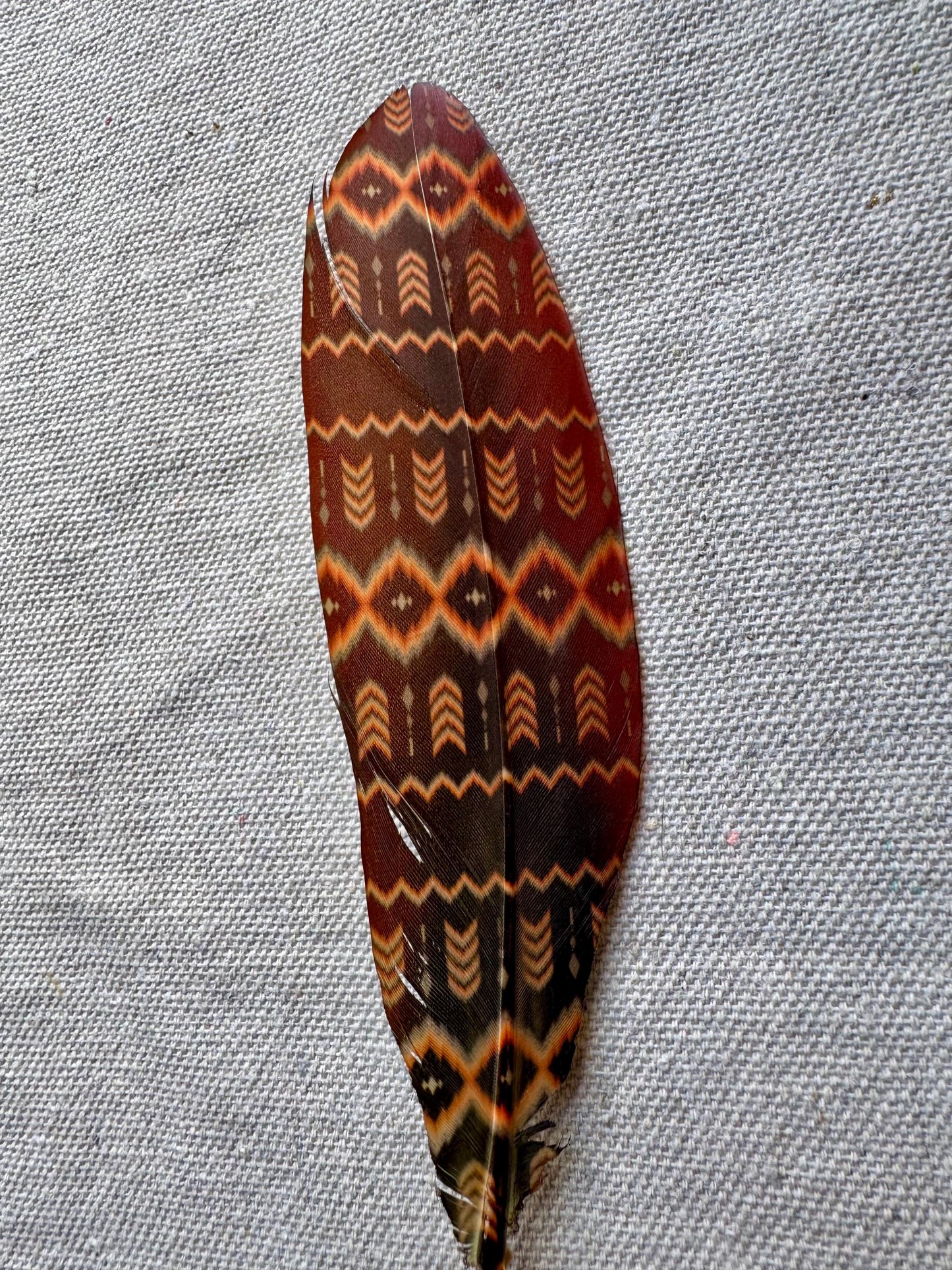 Faded Southwestern Western Hat Feather