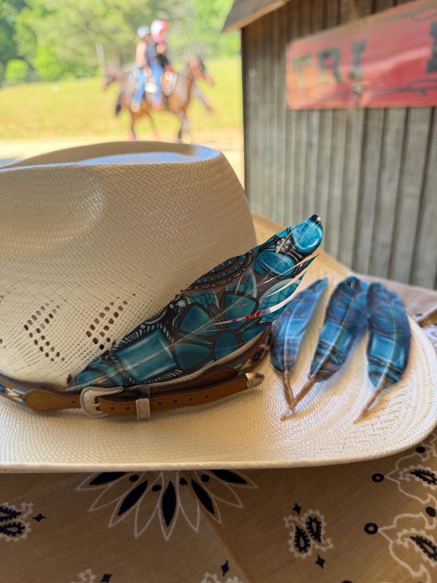 Turquoise Dream Western Hat Feather