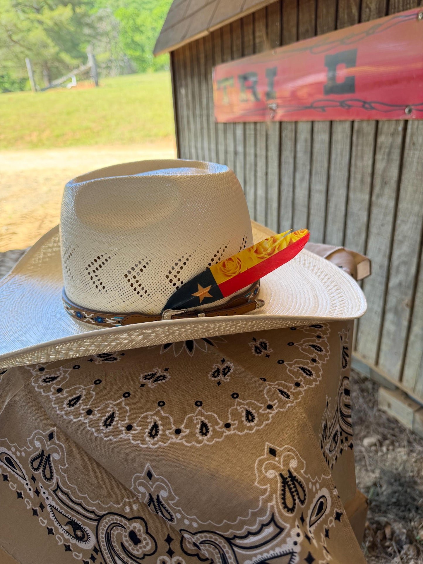 Texas Flag & Yellow Rose Western Hat Feather