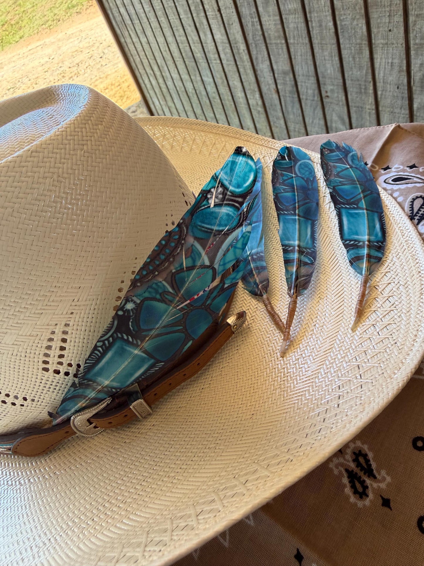 Turquoise Dream Western Hat Feather