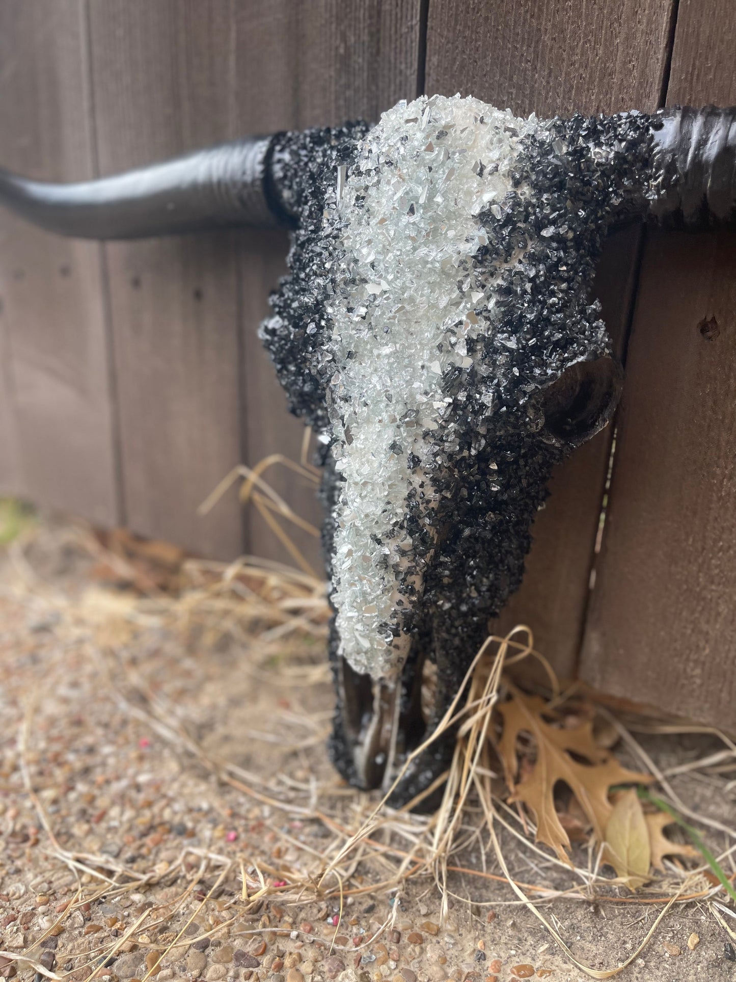 M Night Custom Cowskull - Message to Order