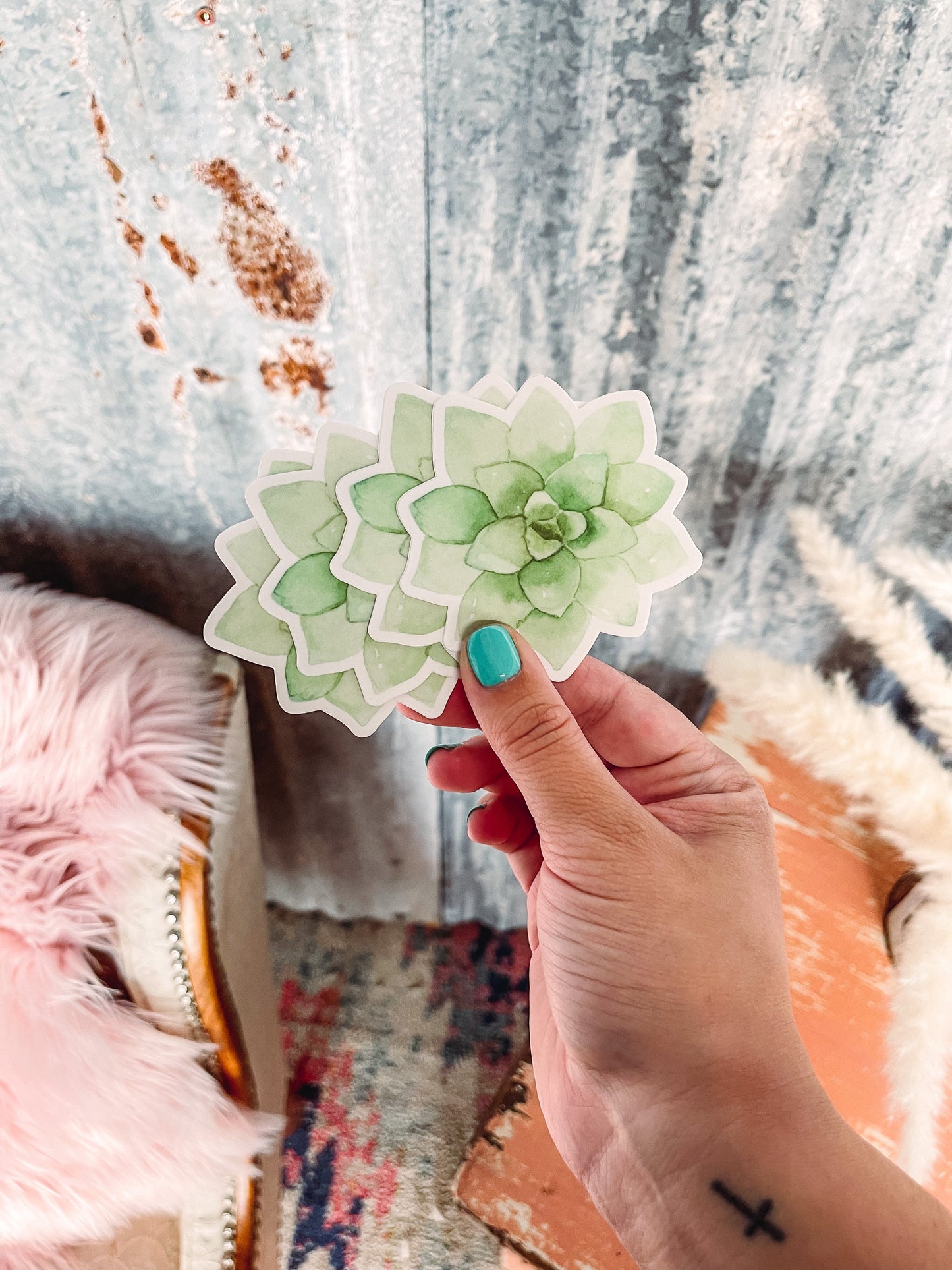 Succulent - Sticker