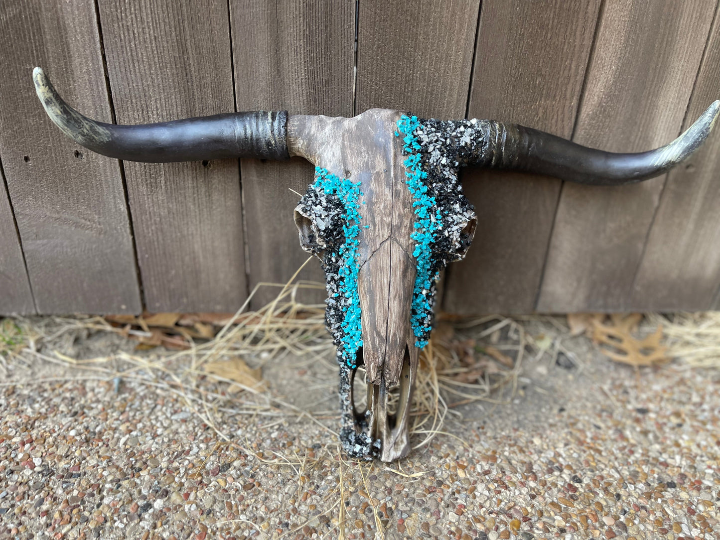 Turqouise Cowboy Cowskull