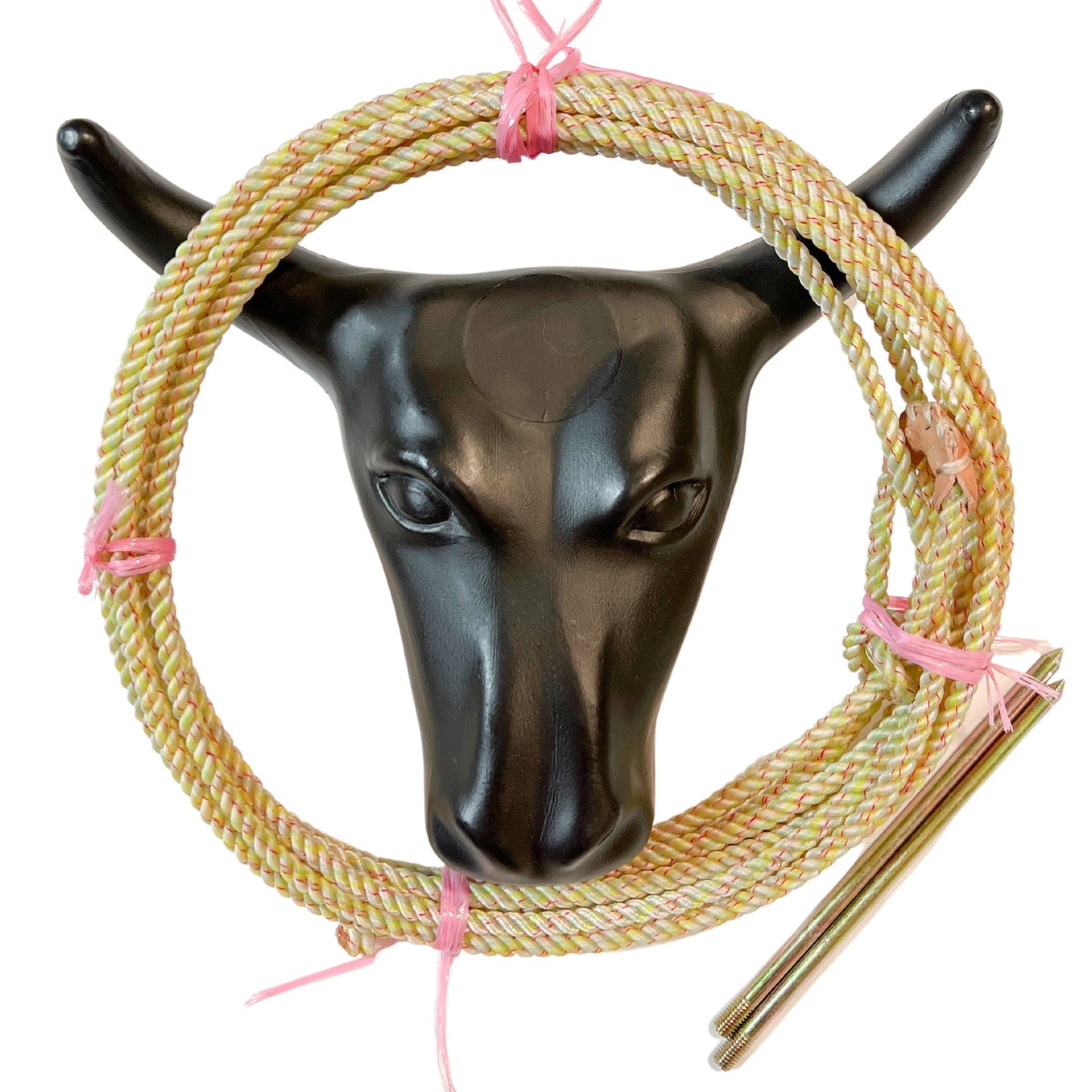AJ Tack Junior 11" Horn Spread Steer Head Roping Dummy Set with Rope