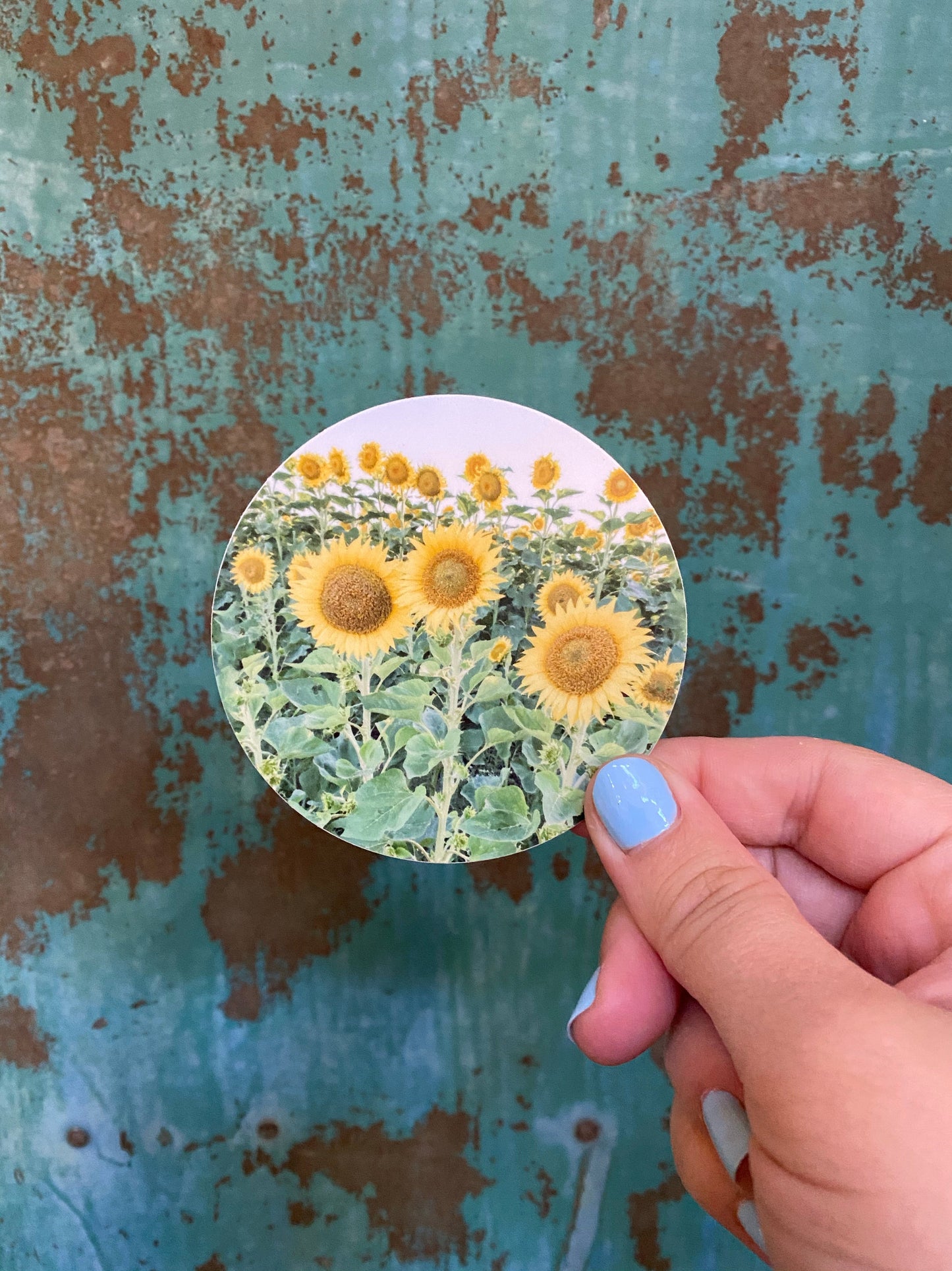 Sunflower Field  - Sticker