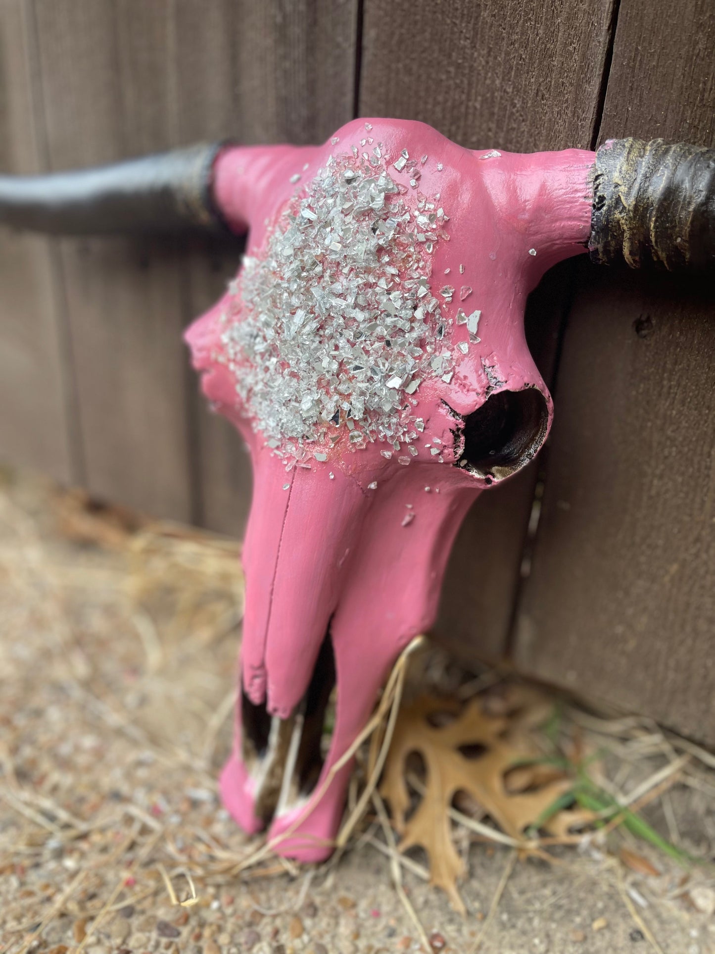 Abba Cowskull
