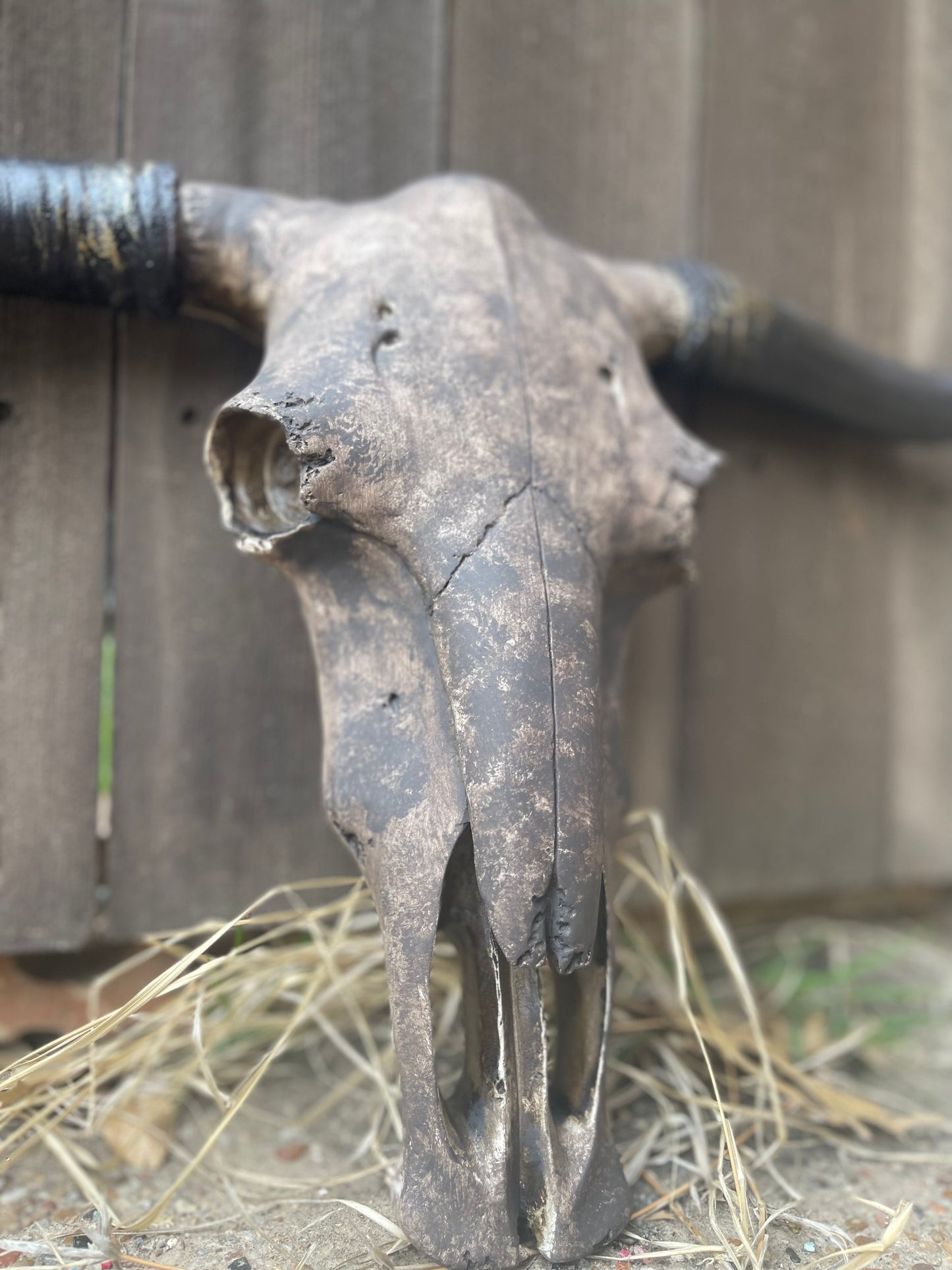 Custom Stetson Cowskull