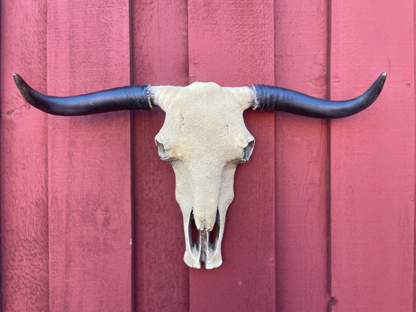 Sandy Cowskull