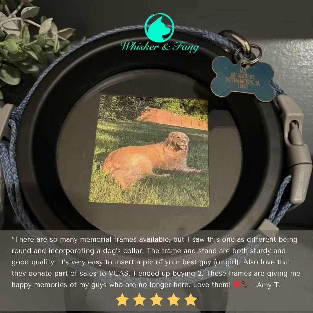 Large Dog Collar Frame | "The Labrador"
