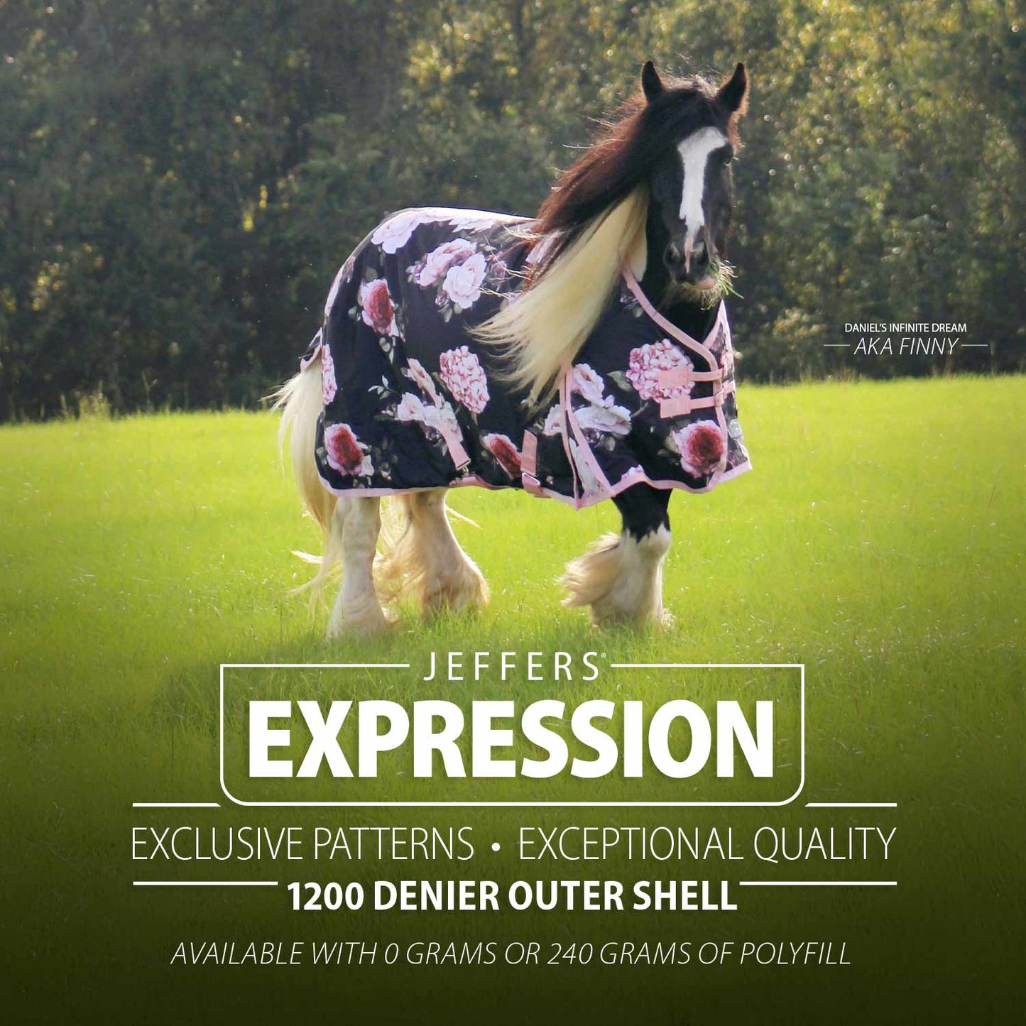 Jeffers Expression 1200 Denier Standard Neck Turnout Horse Blanket, 240 Gram