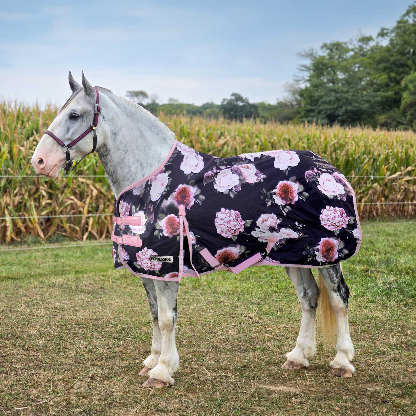 Jeffers Expression 1200D Draft Horse Turnout Blanket, 240 g | Waterproof, Breathable & Safe Design