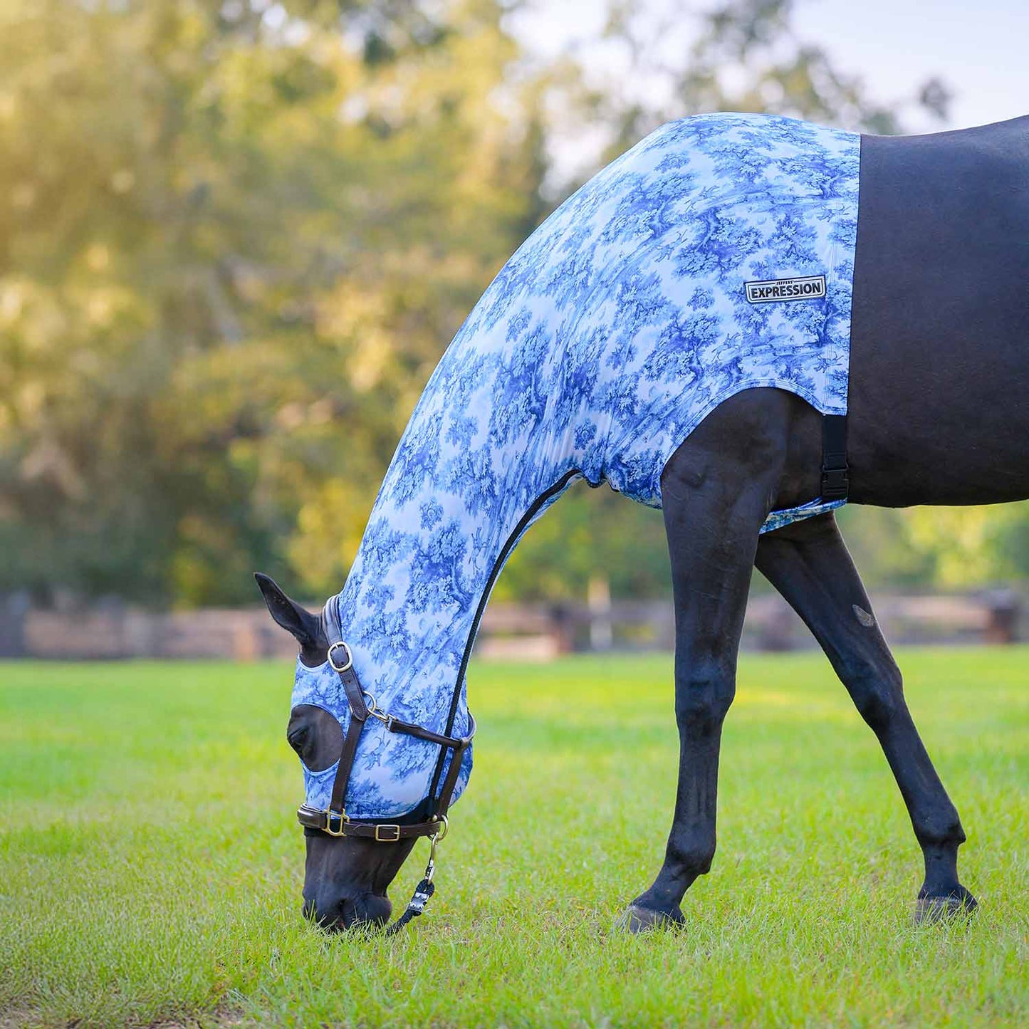 Jeffers Expression Lycra Hood for Horses