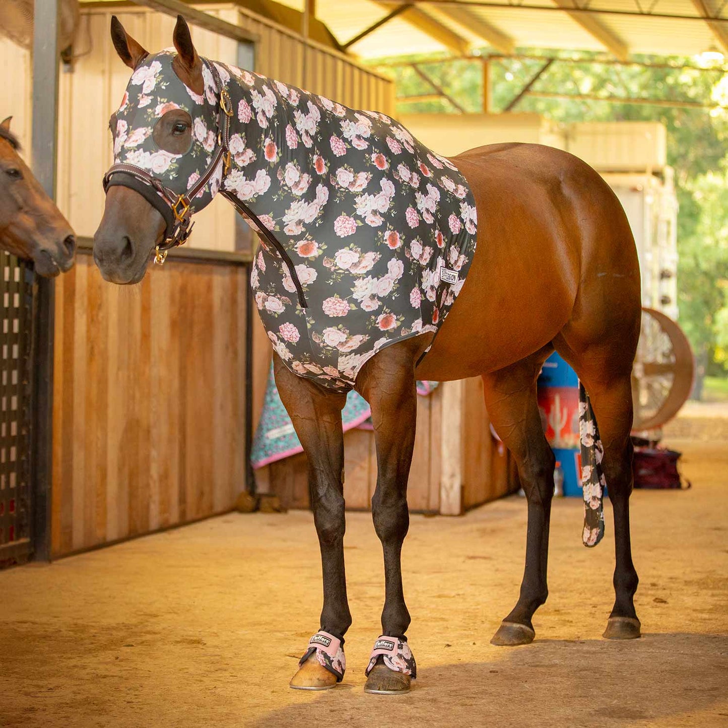 Jeffers Expression Lycra Hood for Horses