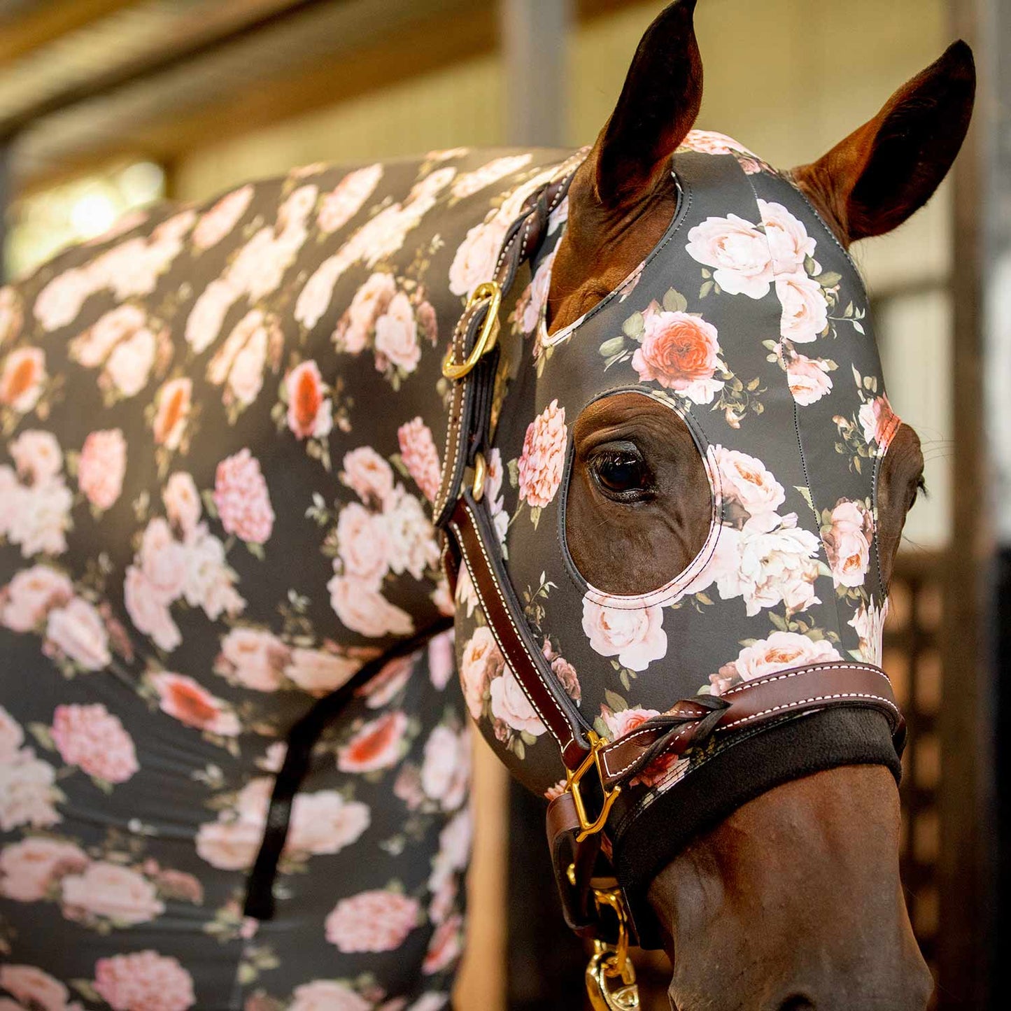 Jeffers Expression Lycra Hood for Horses