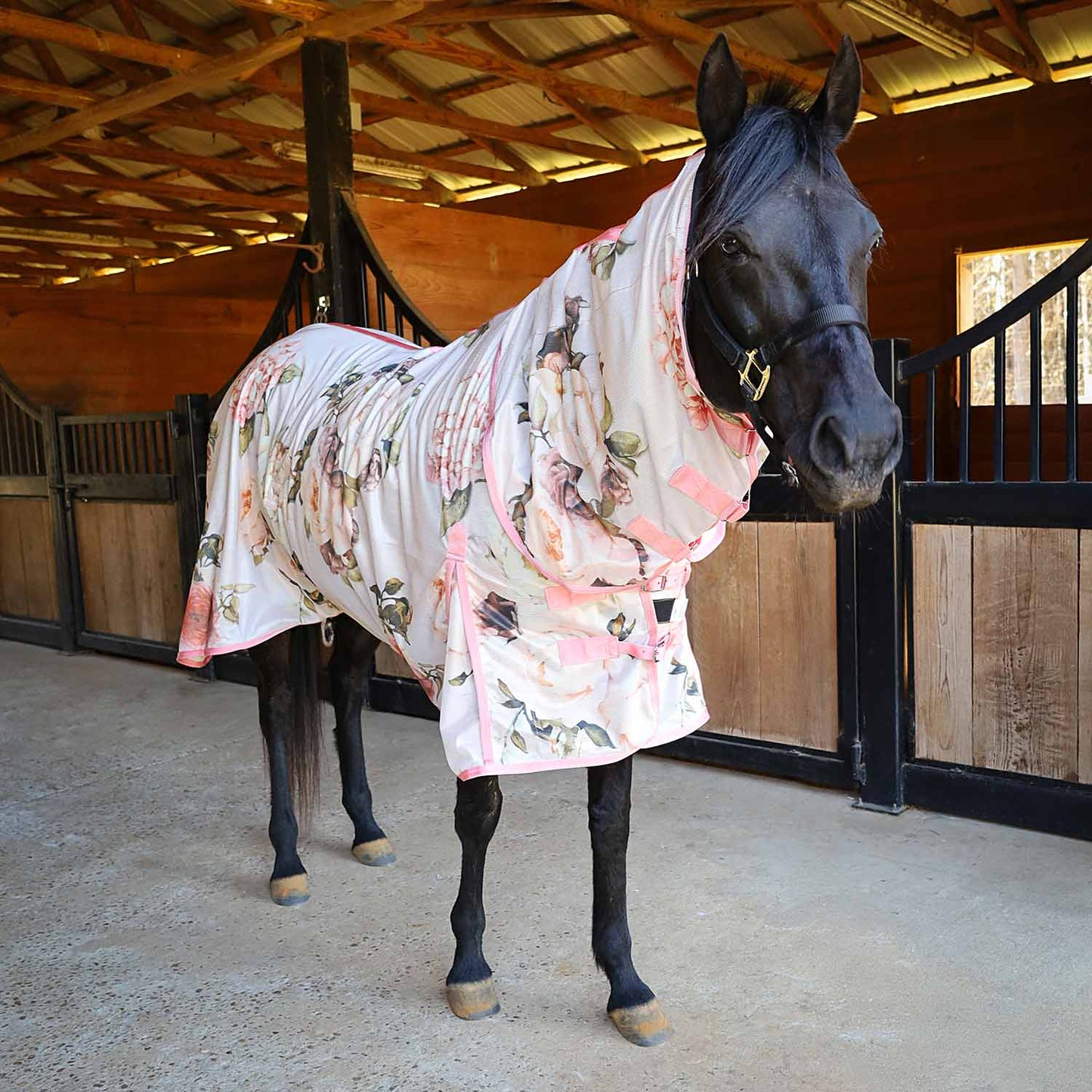 Jeffers Expression Softmesh Combo Neck Horse Fly Sheet