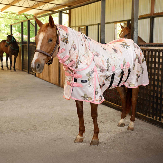 Jeffers Expression Softmesh Combo Neck Horse Fly Sheet