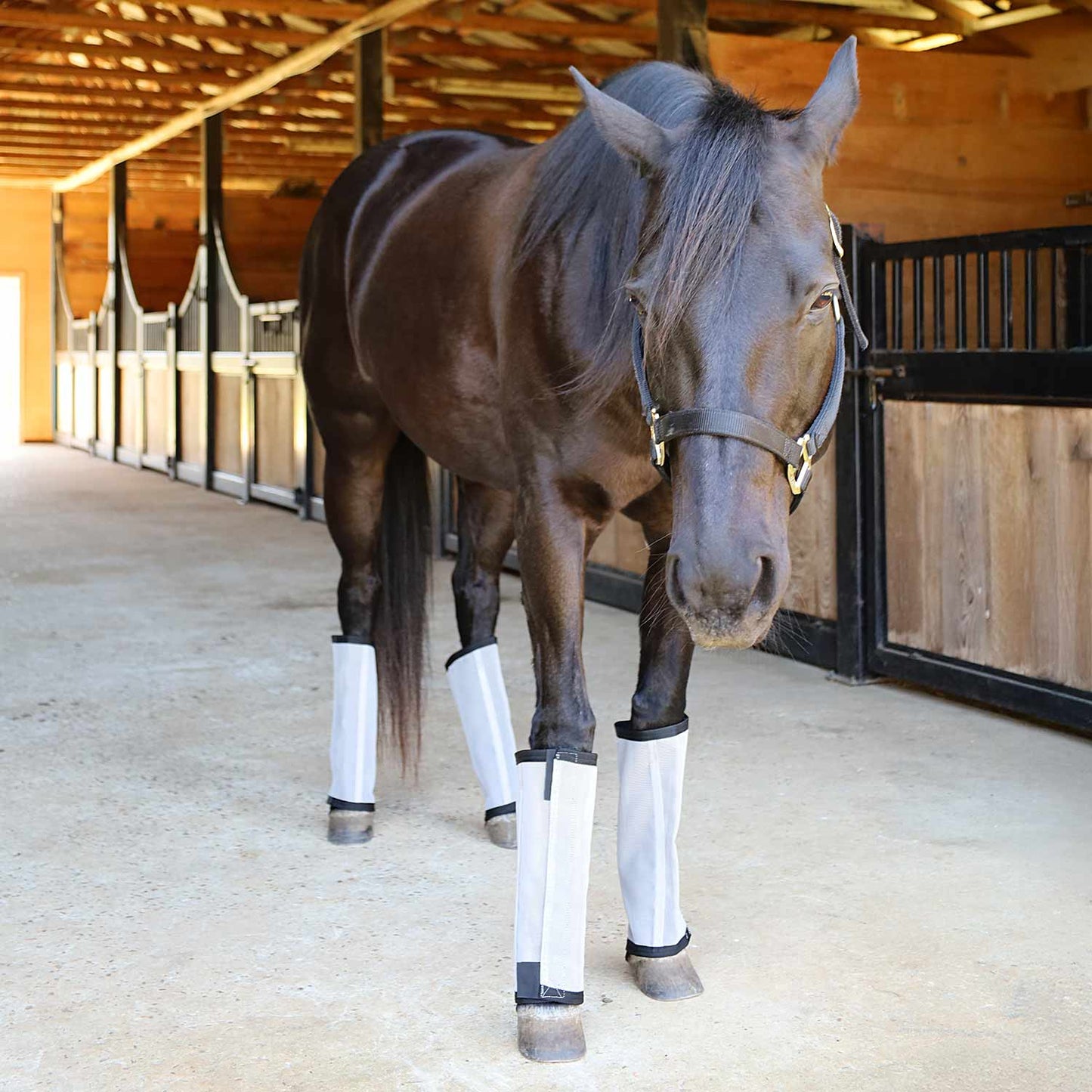 Jeffers Romper Stomper "Stomp-Free" Fly Boots for Horses, 4 pack